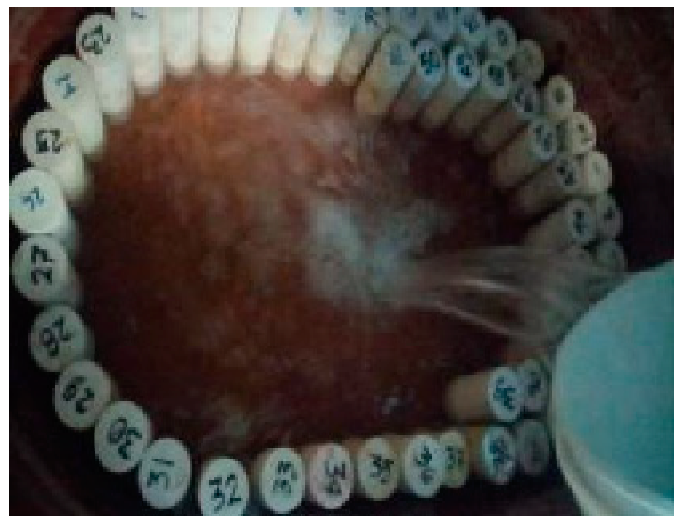 Preprints 158908 g006