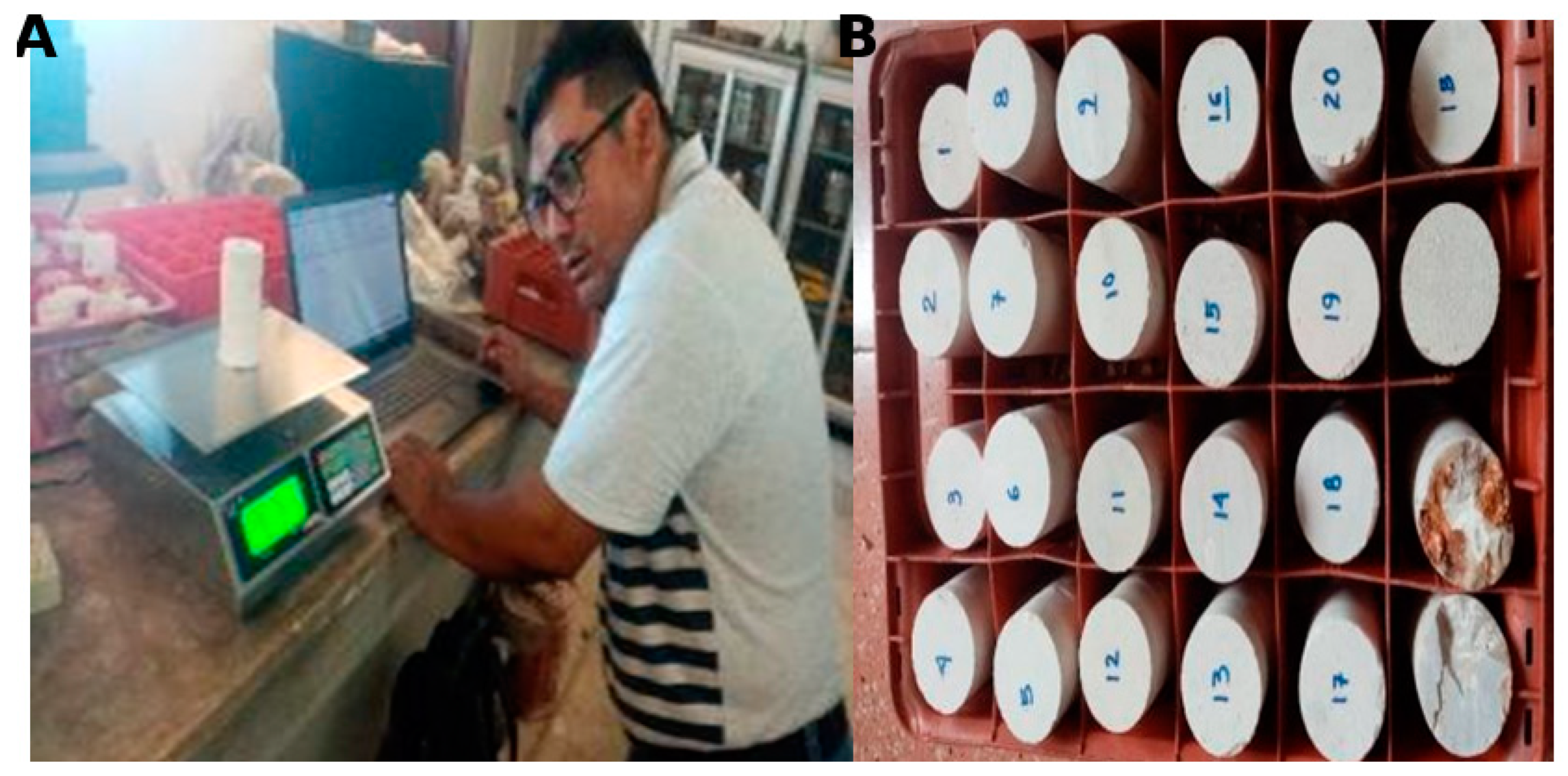 Preprints 158908 g007