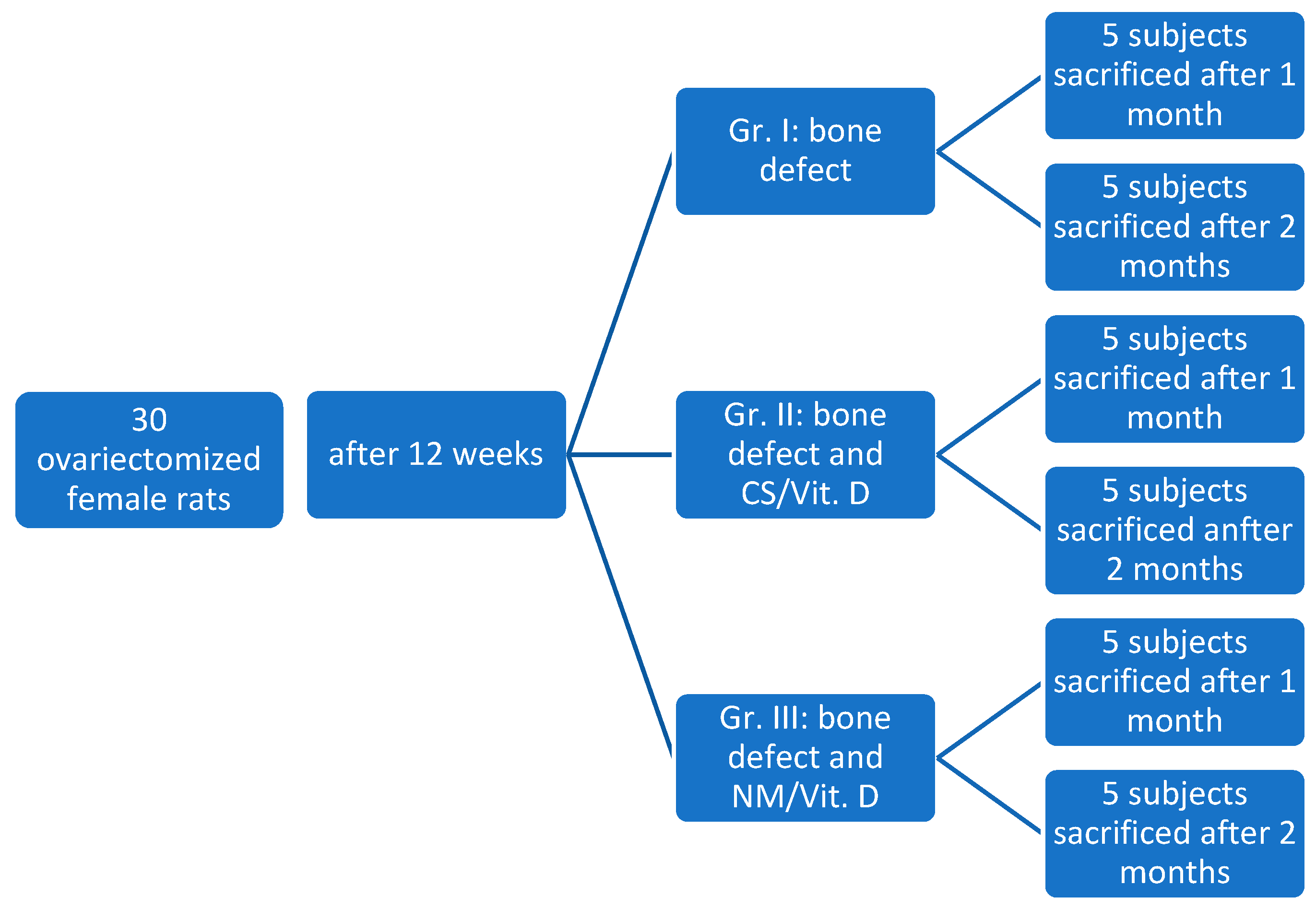 Preprints 174417 g001