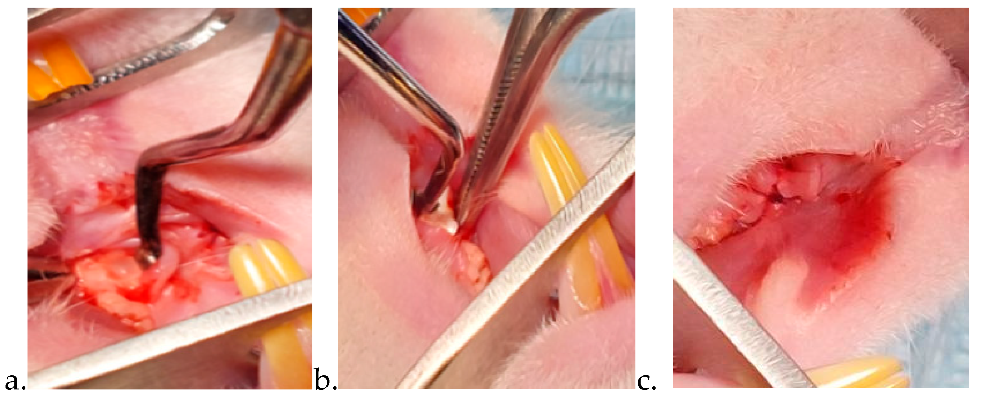 Preprints 174417 g002