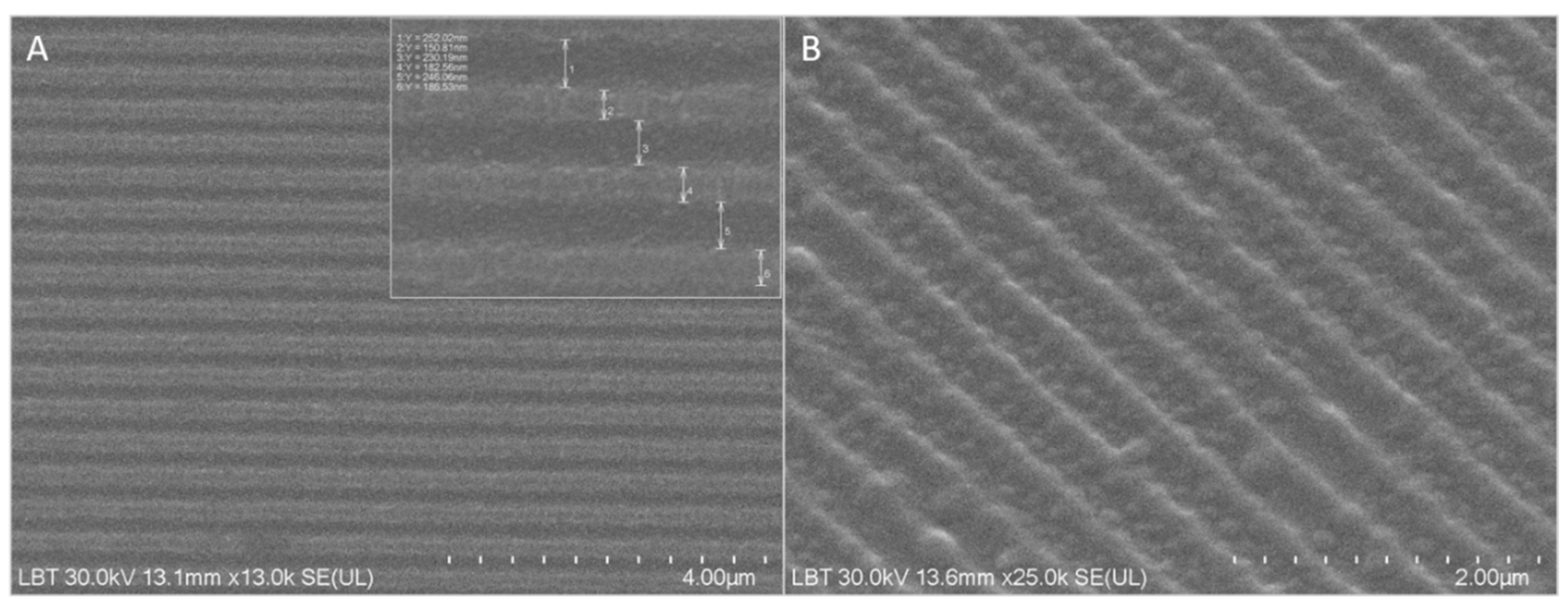 Preprints 174417 g003