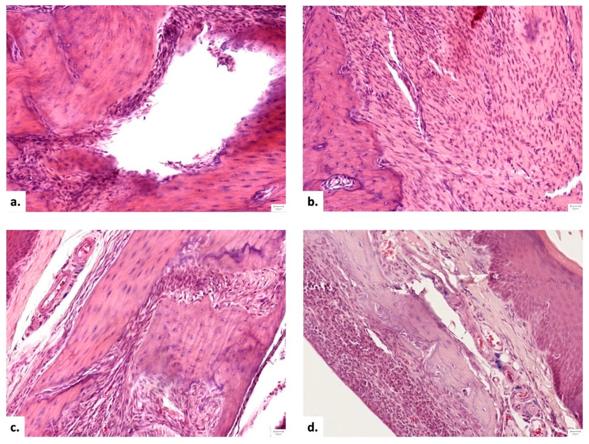 Preprints 174417 g005