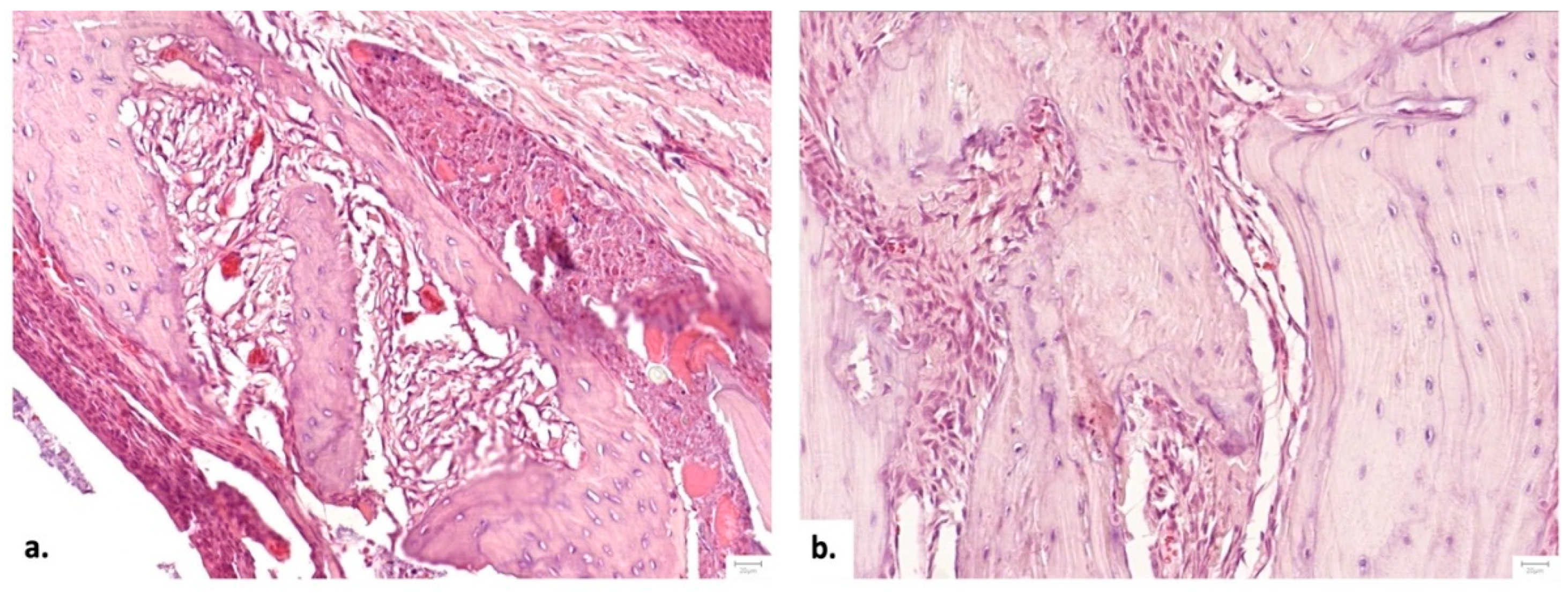 Preprints 174417 g006