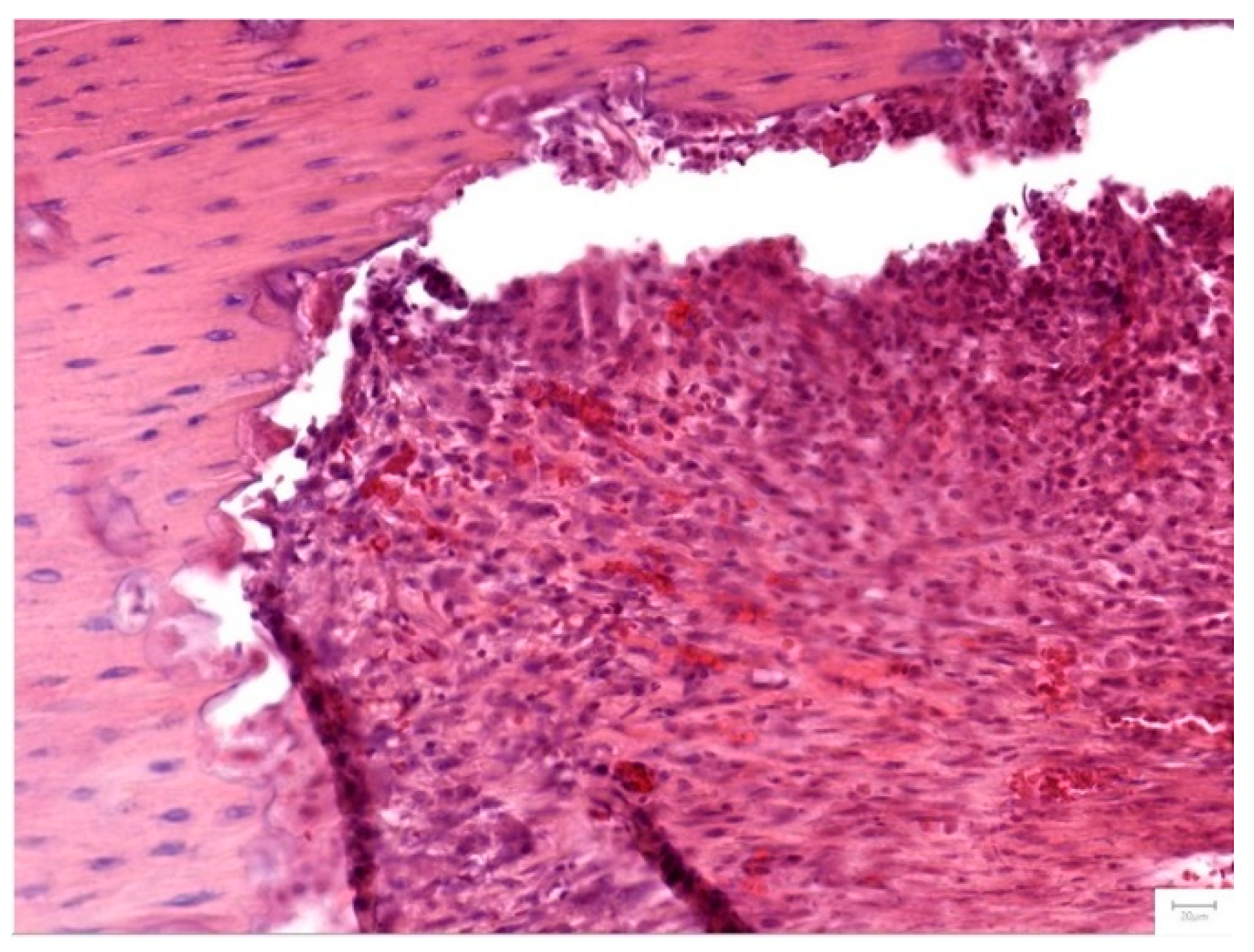 Preprints 174417 g007