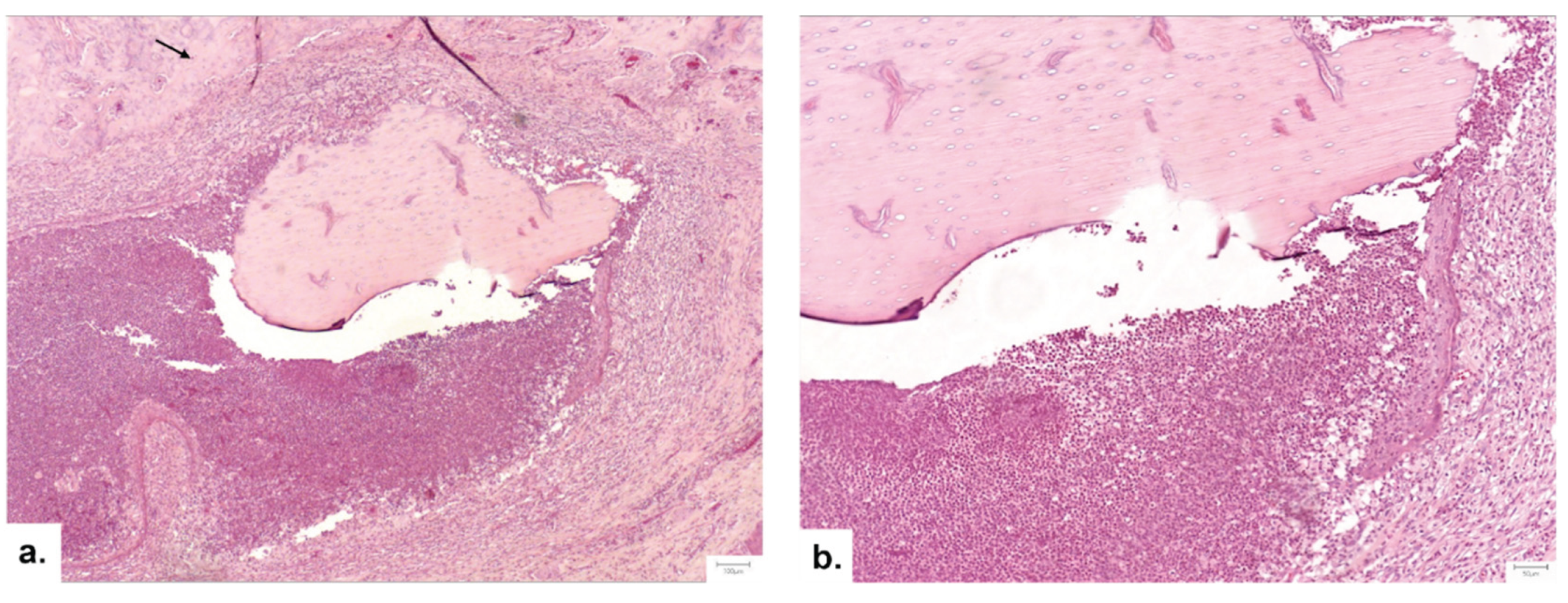 Preprints 174417 g008