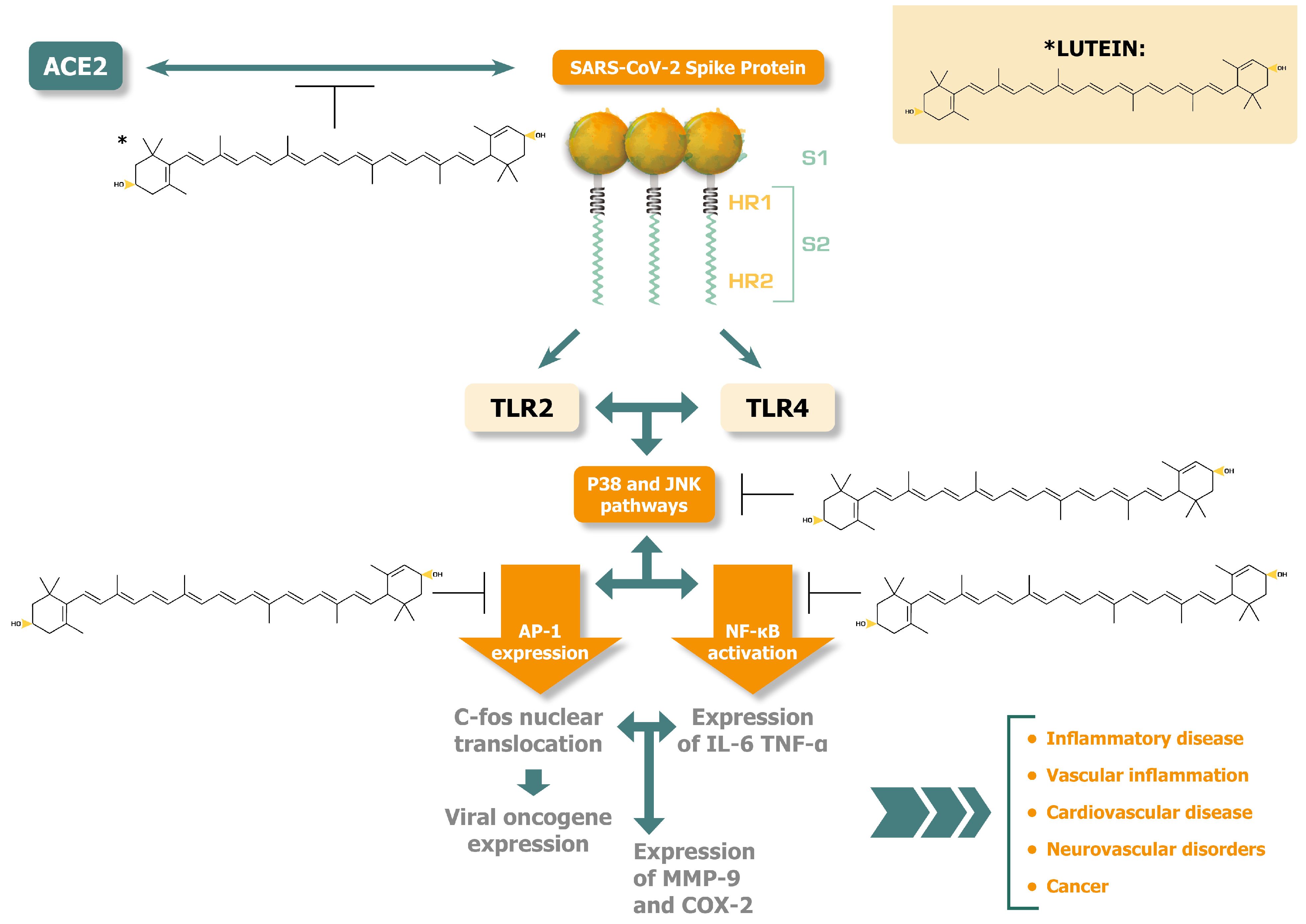 Preprints 85299 g001