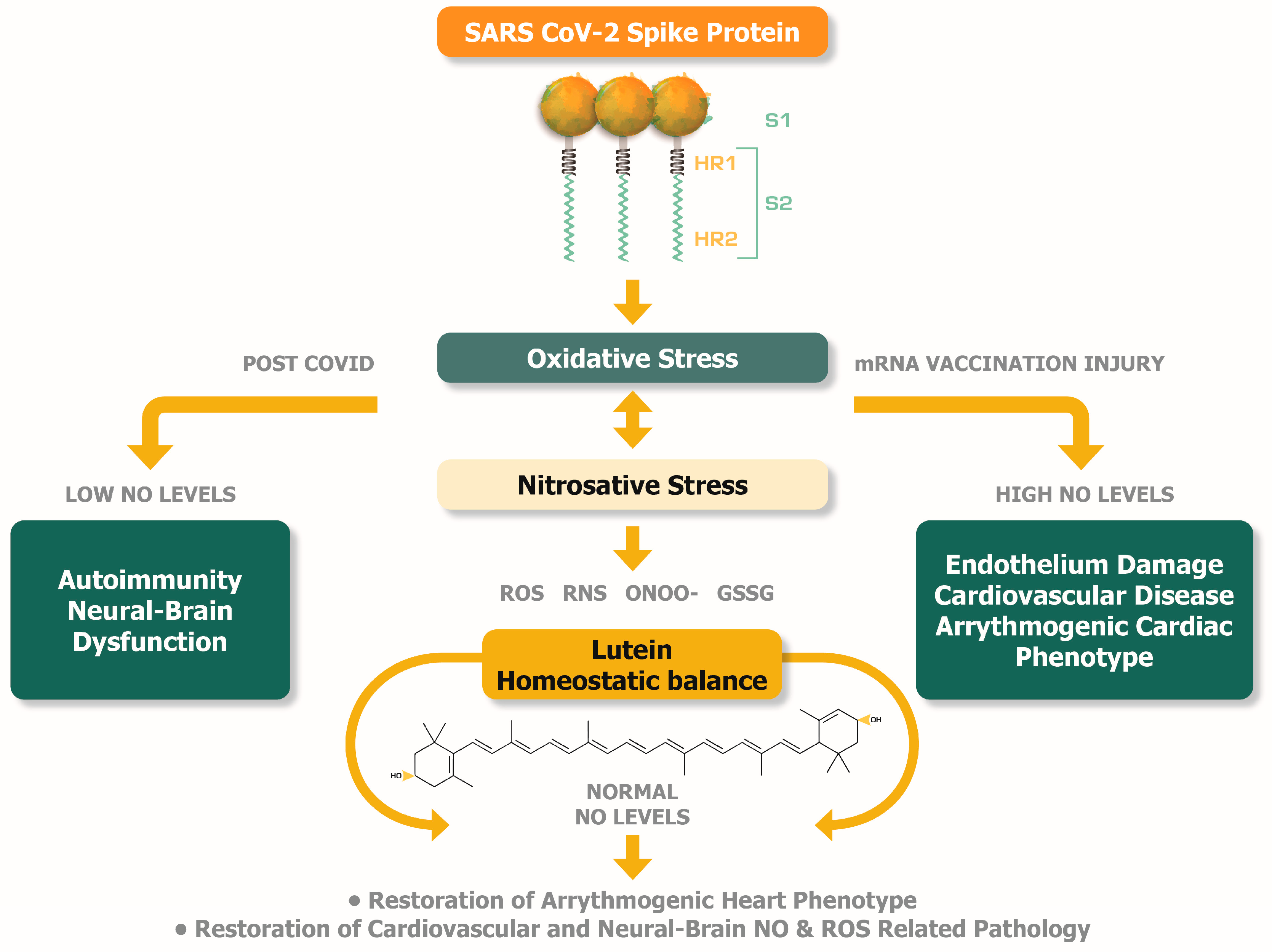 Preprints 85299 g002