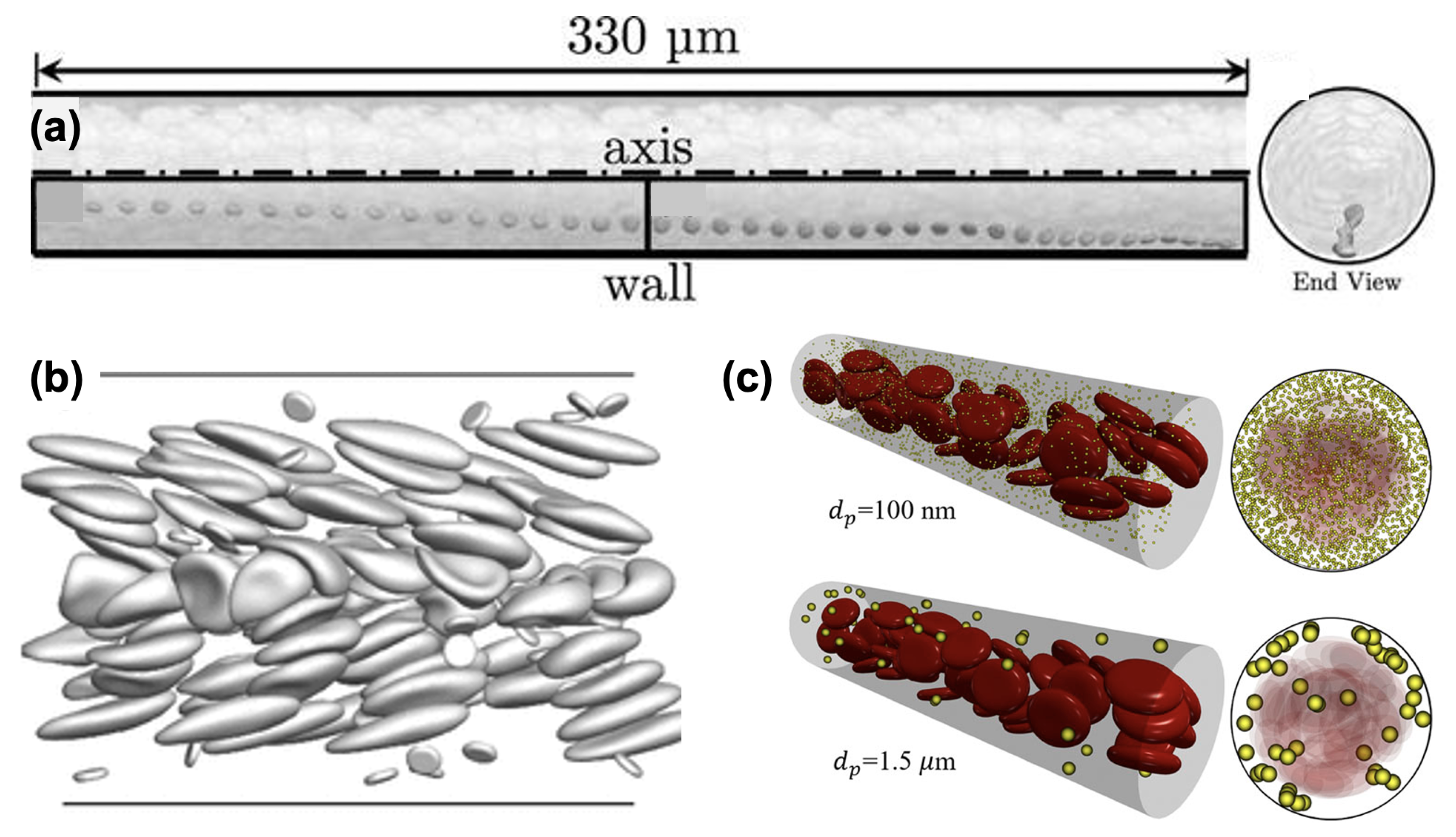Preprints 104387 g001