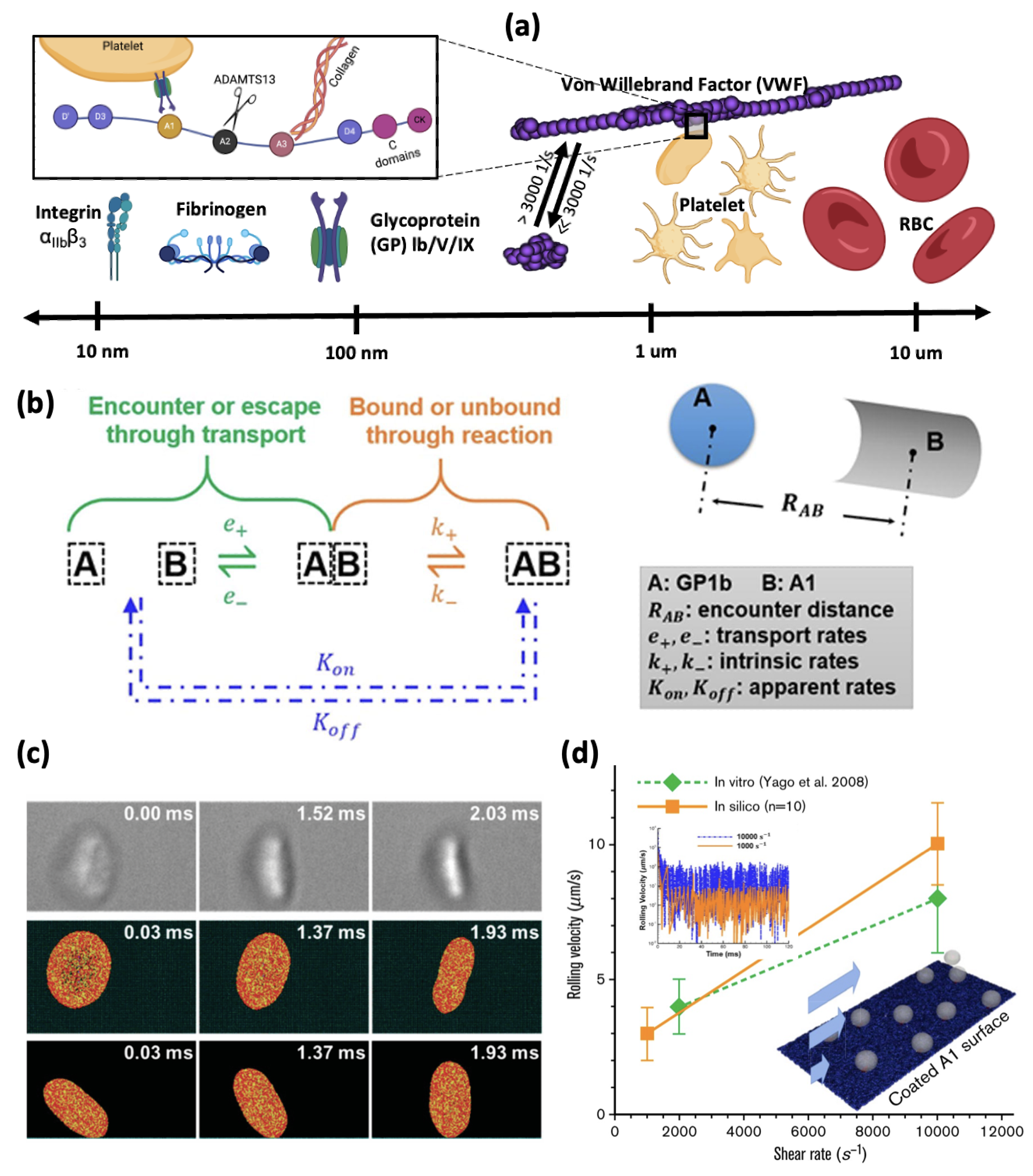 Preprints 104387 g002