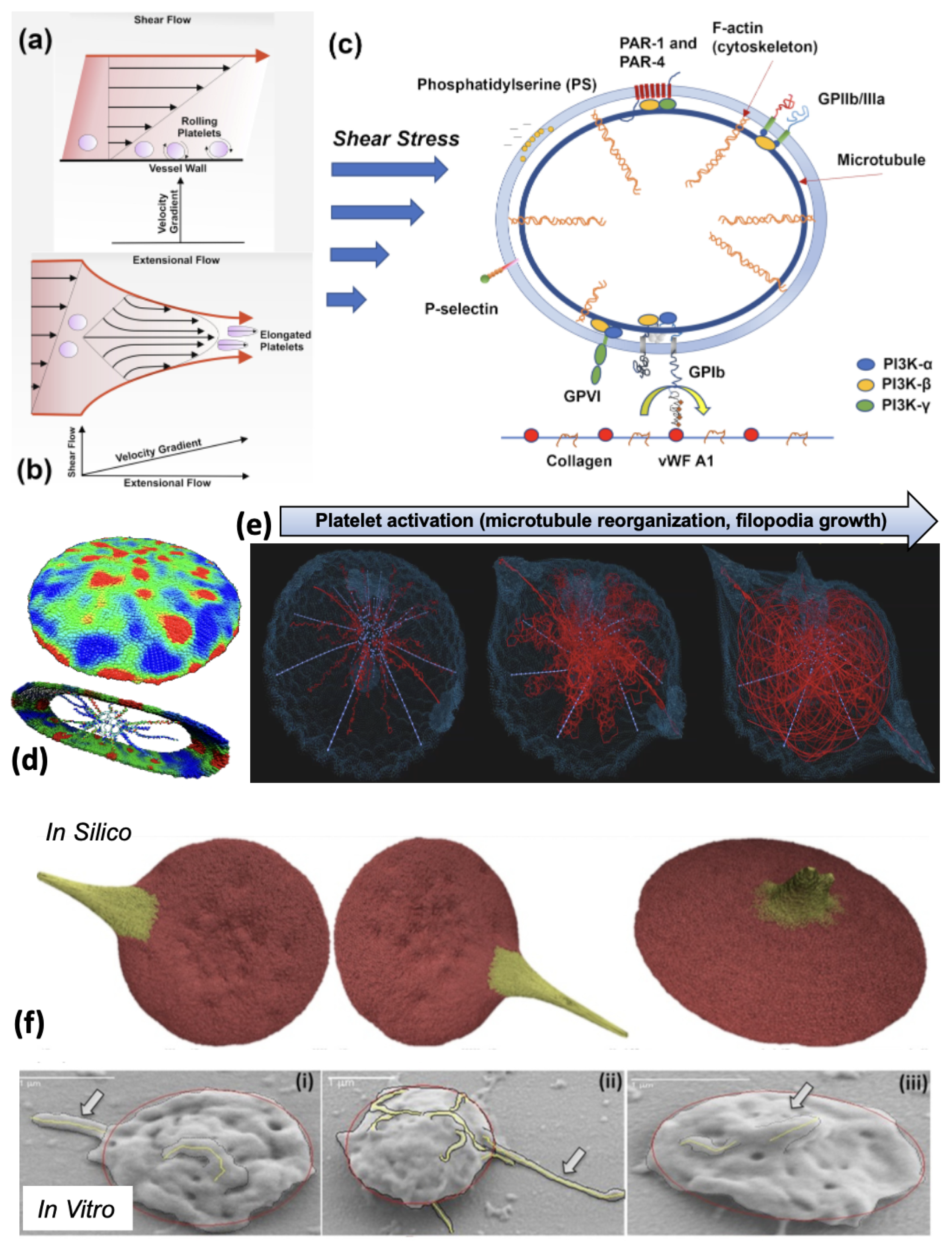 Preprints 104387 g003