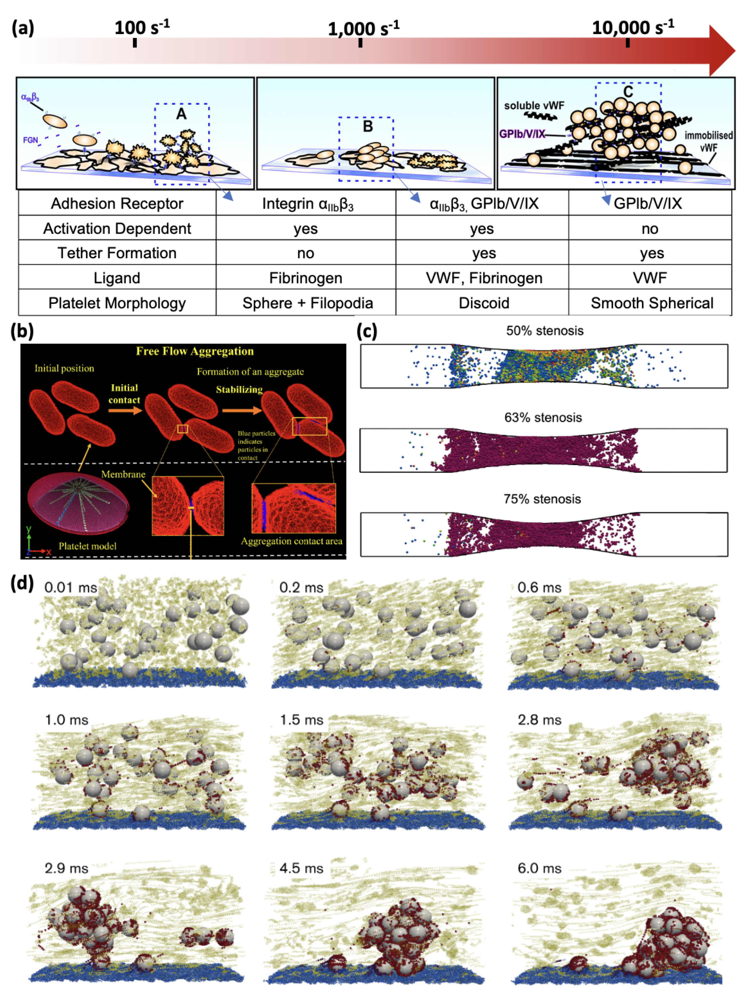 Preprints 104387 g004