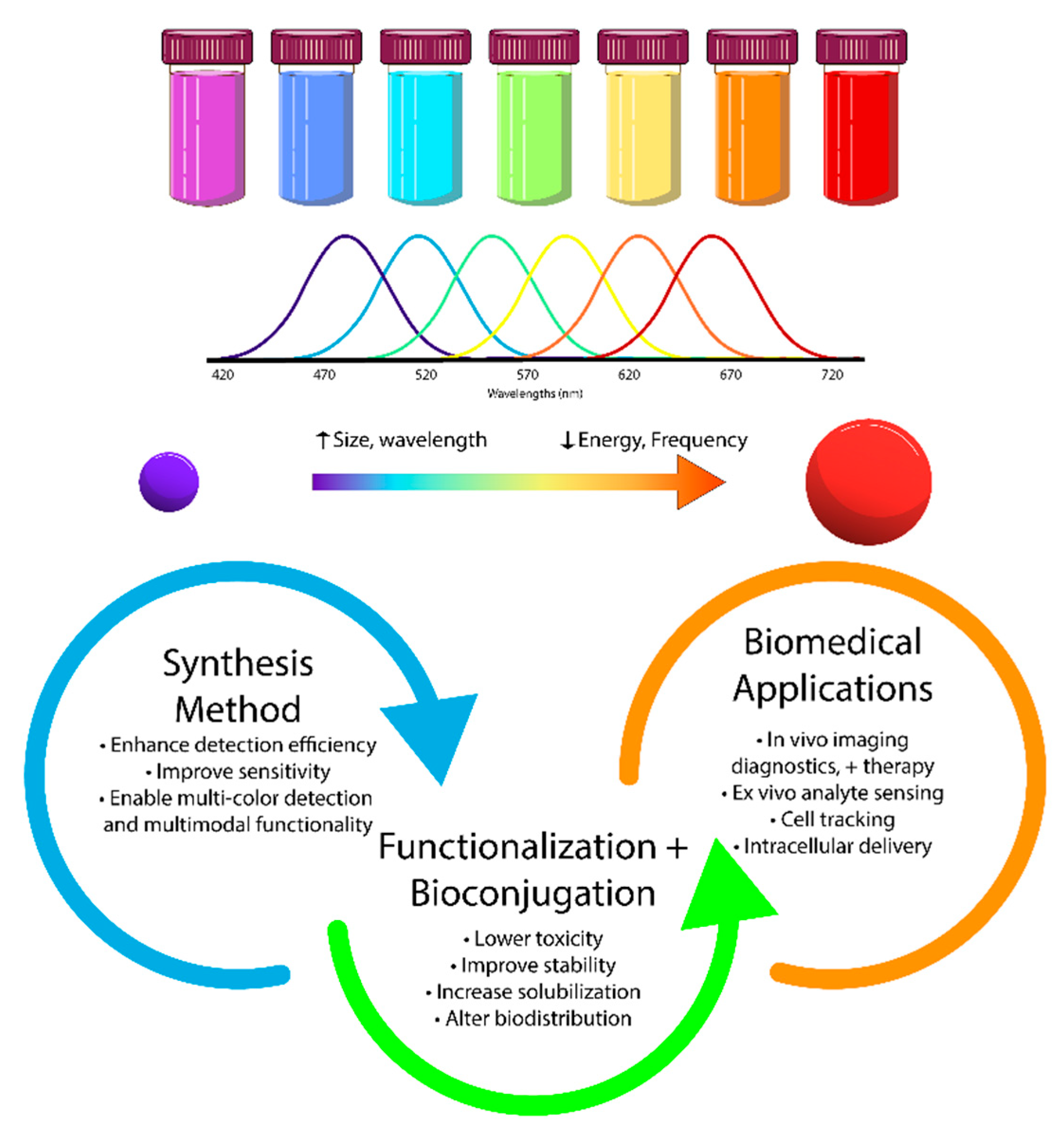 Preprints 167814 g001