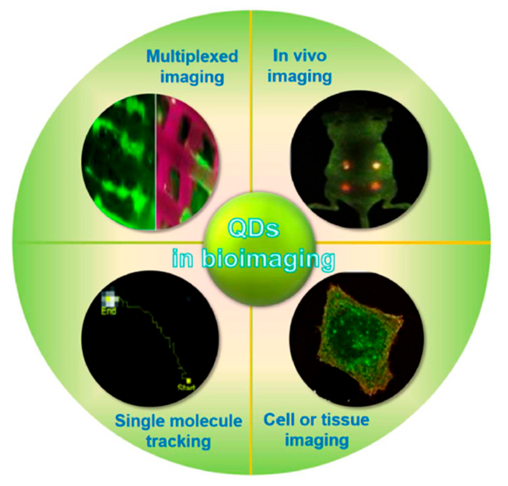 Preprints 167814 g002