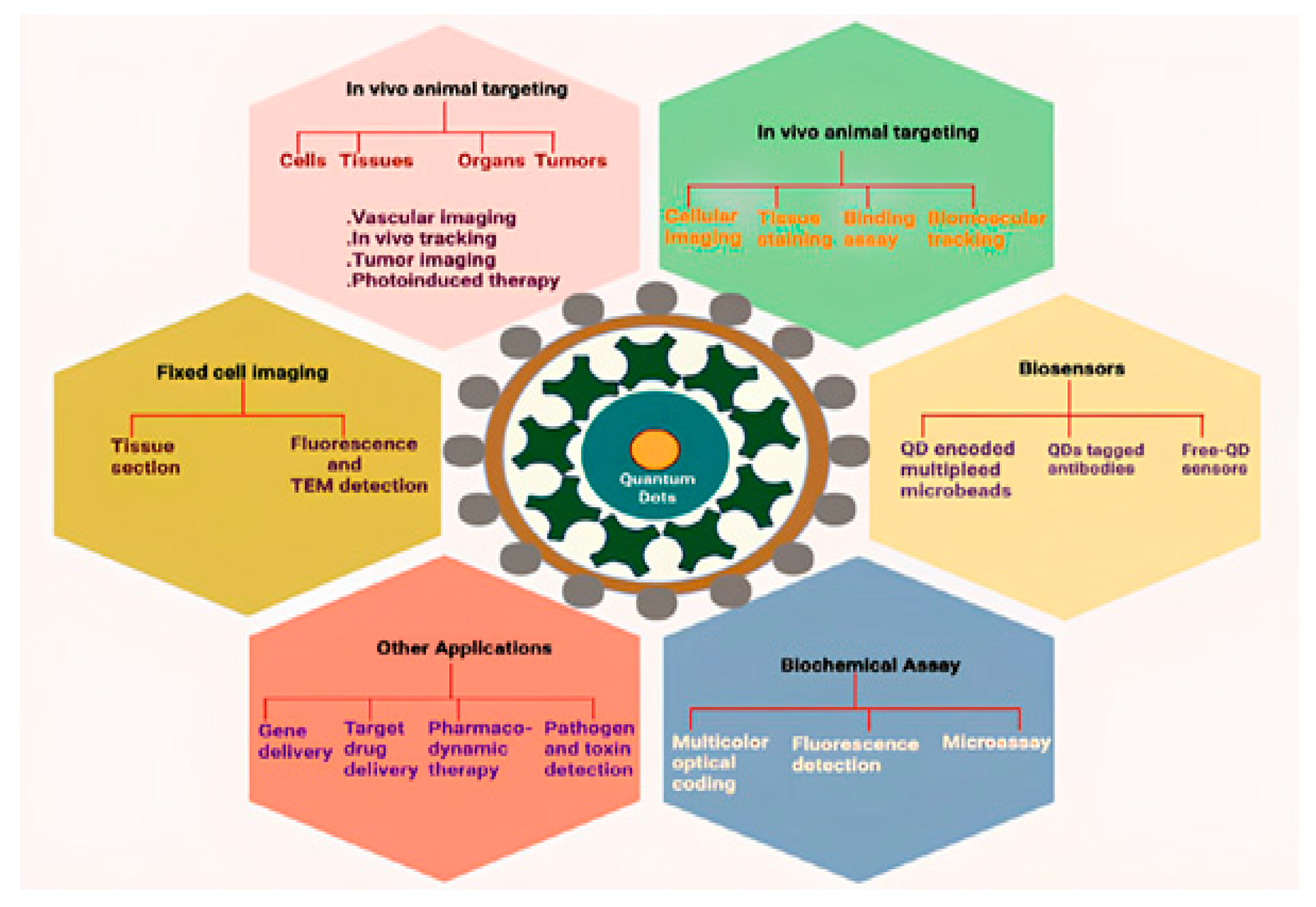 Preprints 167814 g005