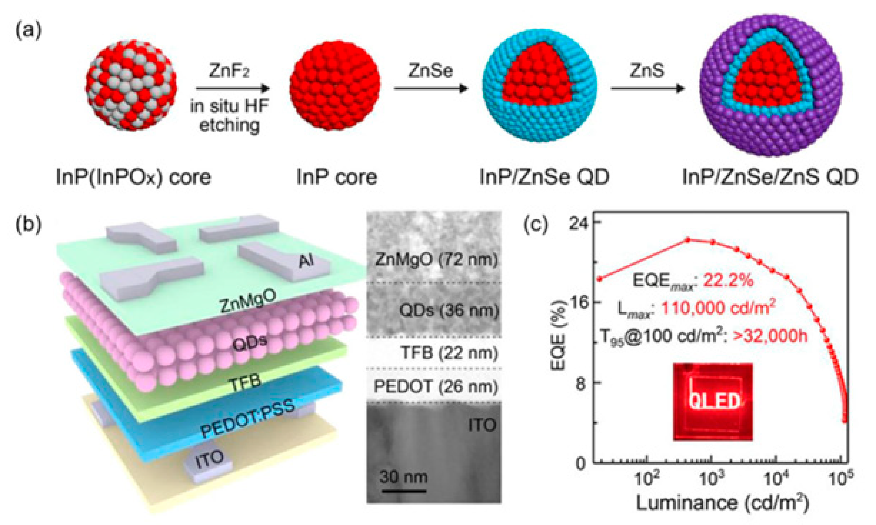 Preprints 167814 g006