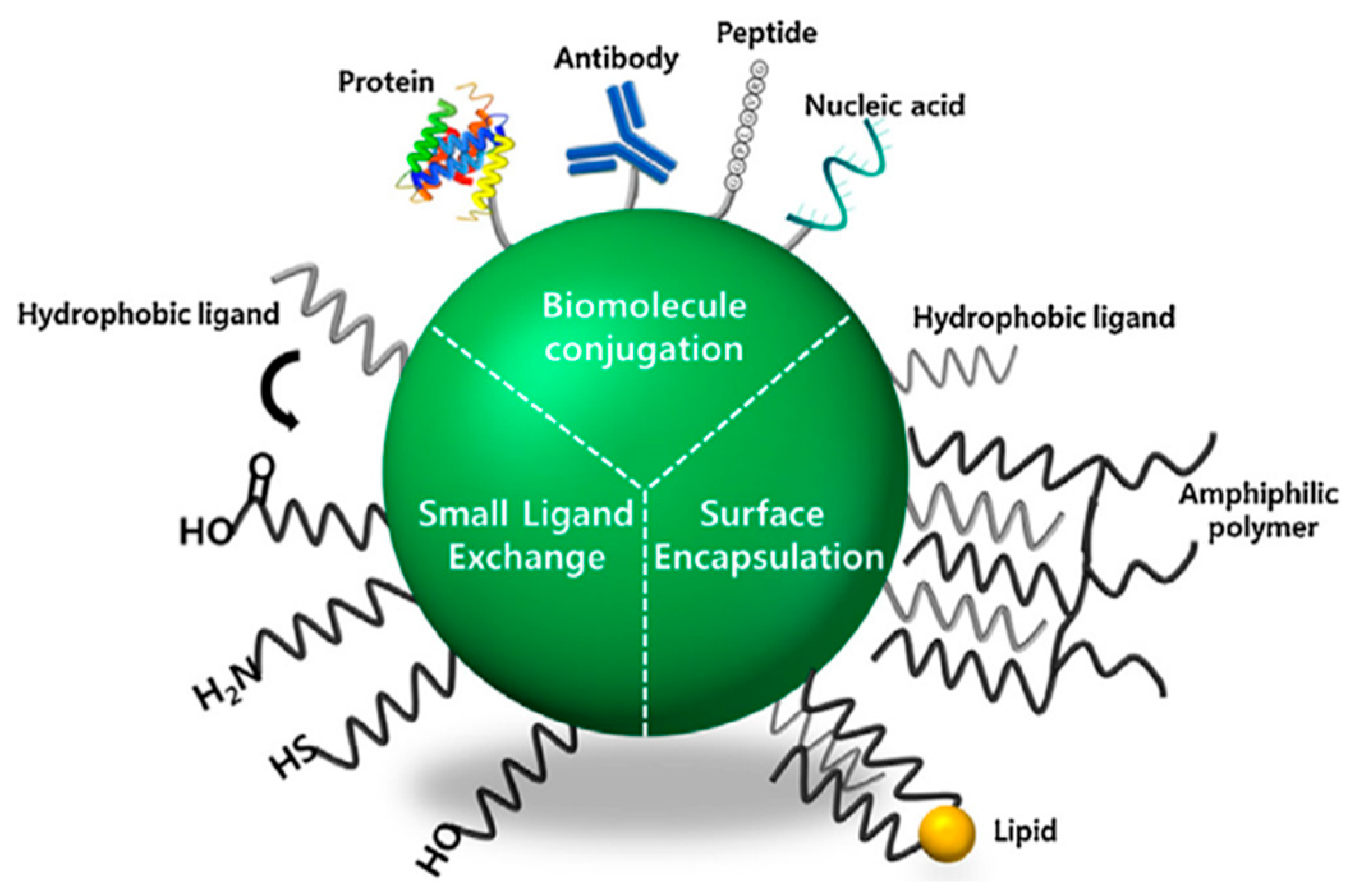 Preprints 167814 g009