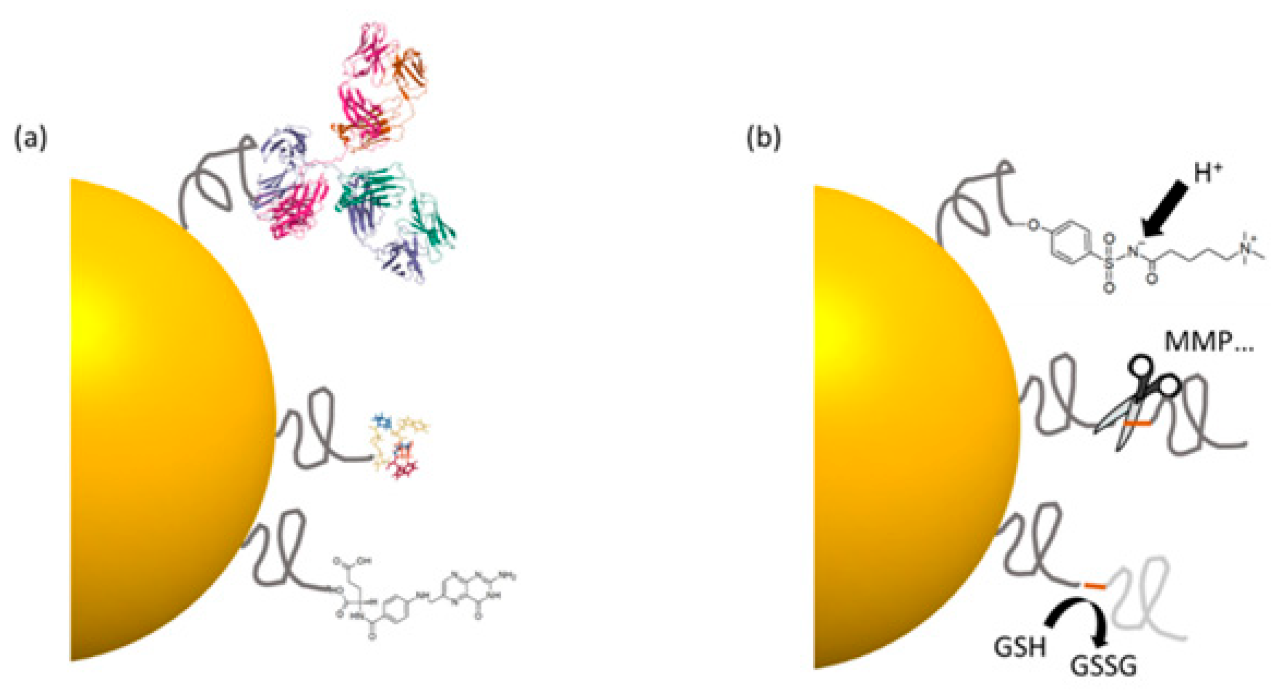 Preprints 167814 g010
