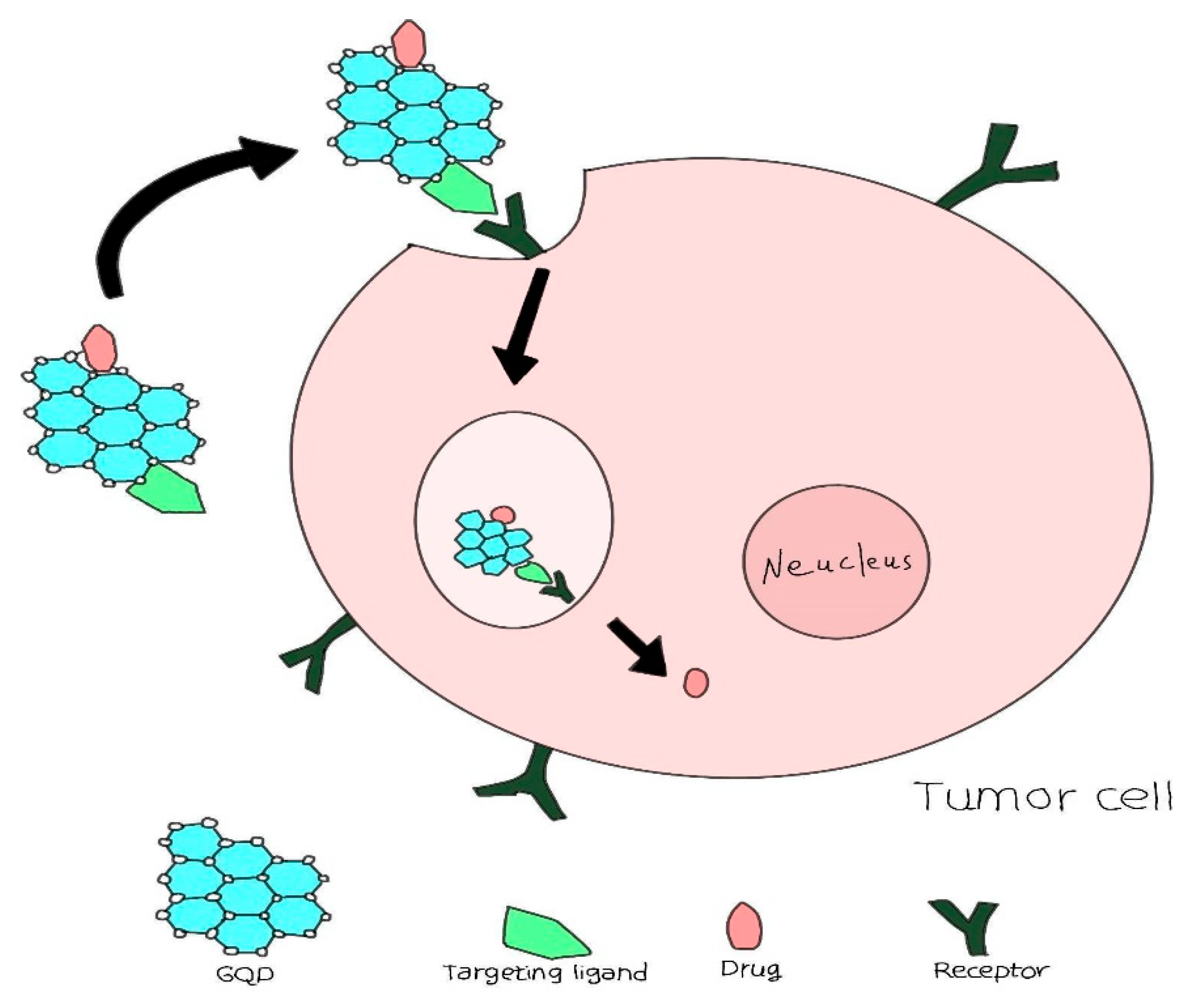 Preprints 167814 g011