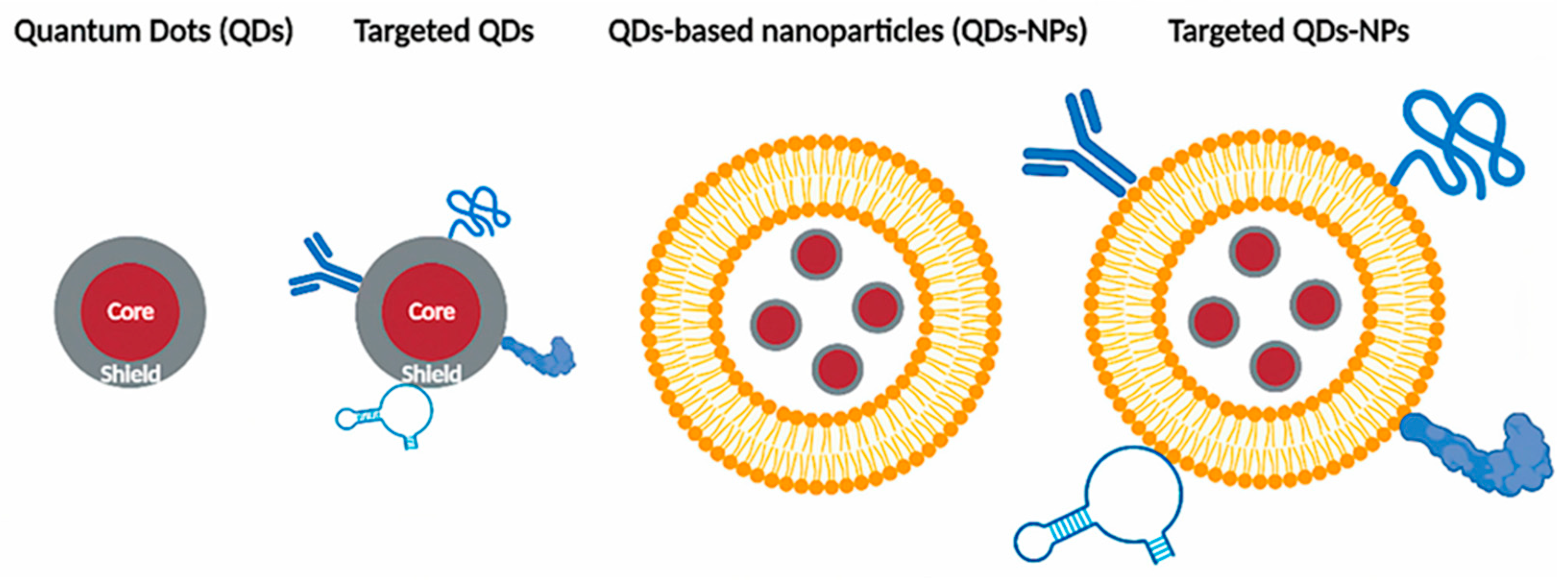 Preprints 167814 g012