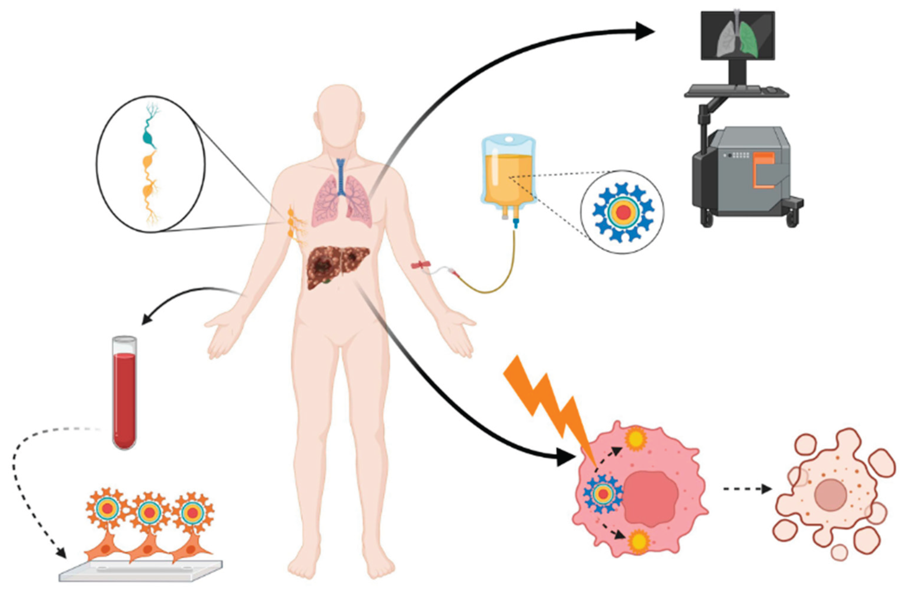 Preprints 167814 g013