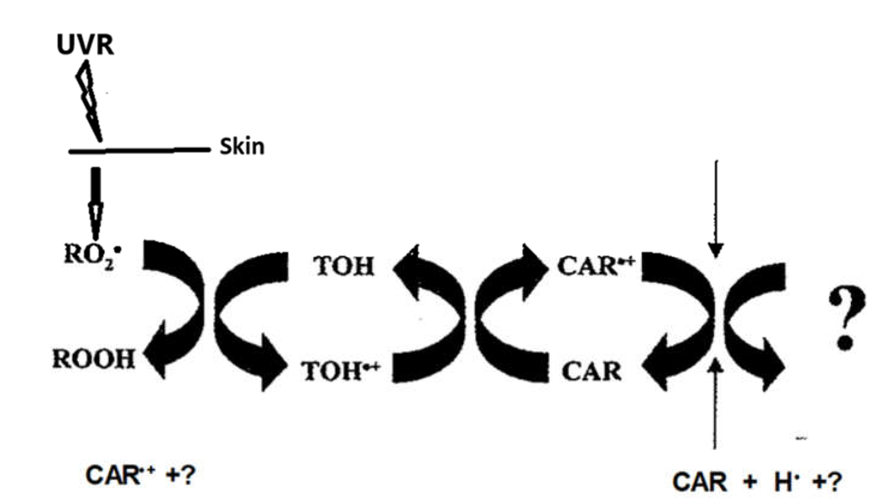 Preprints 149320 g001