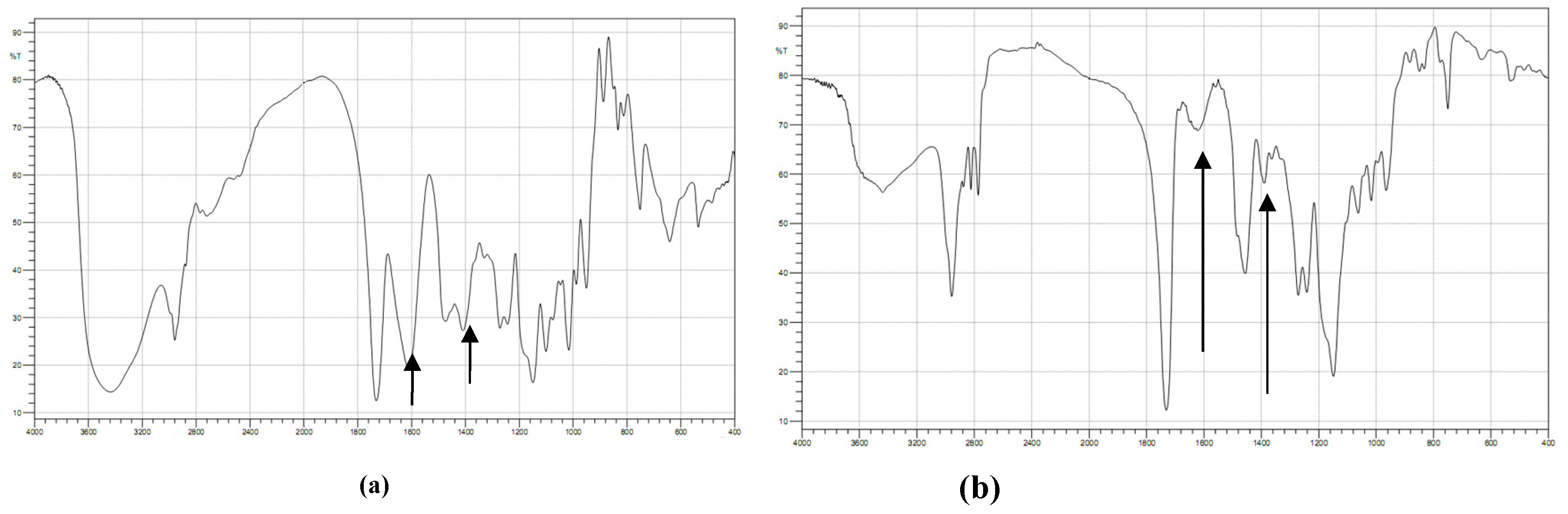 Preprints 88020 g003