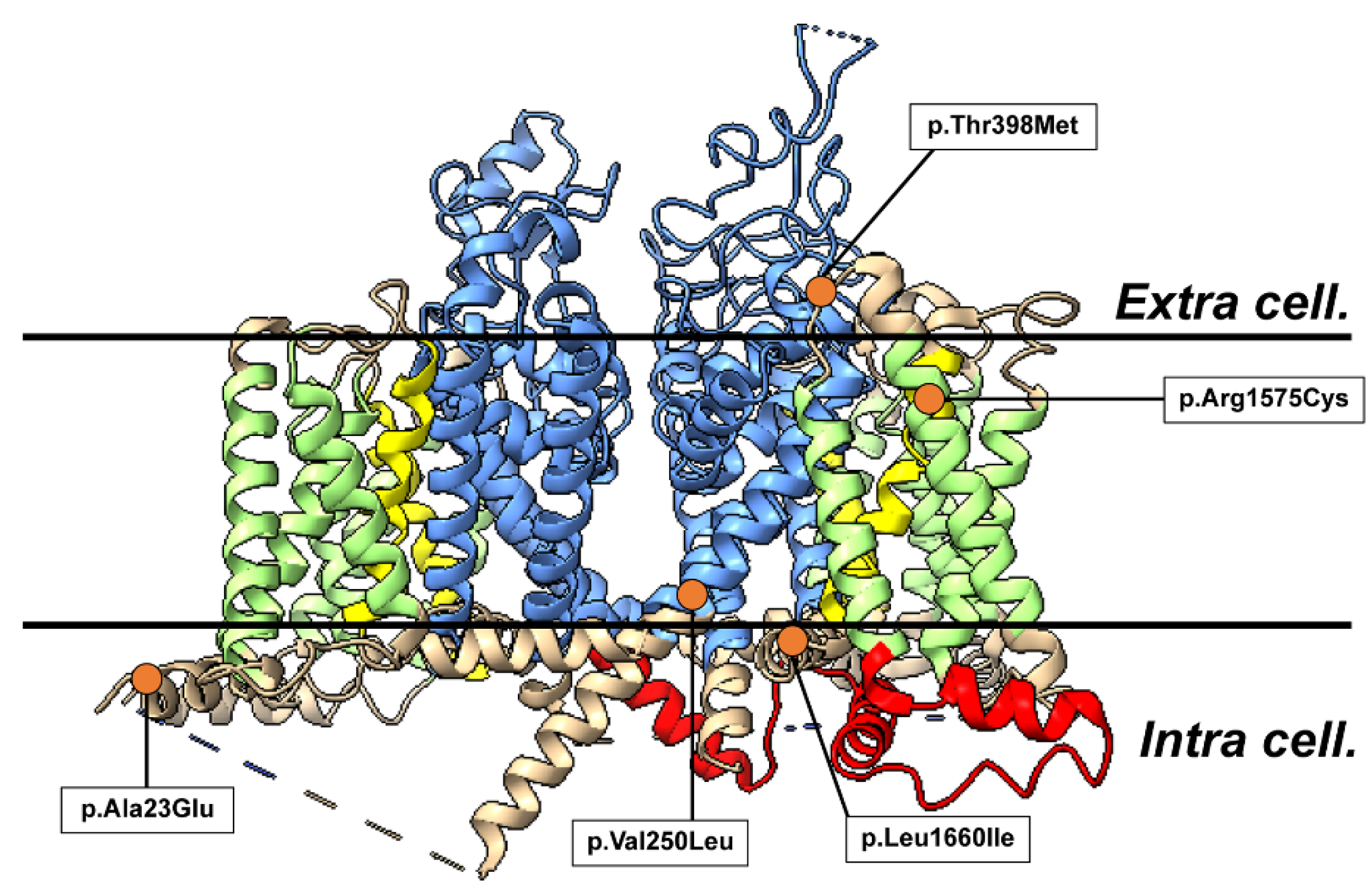 Preprints 146512 g001