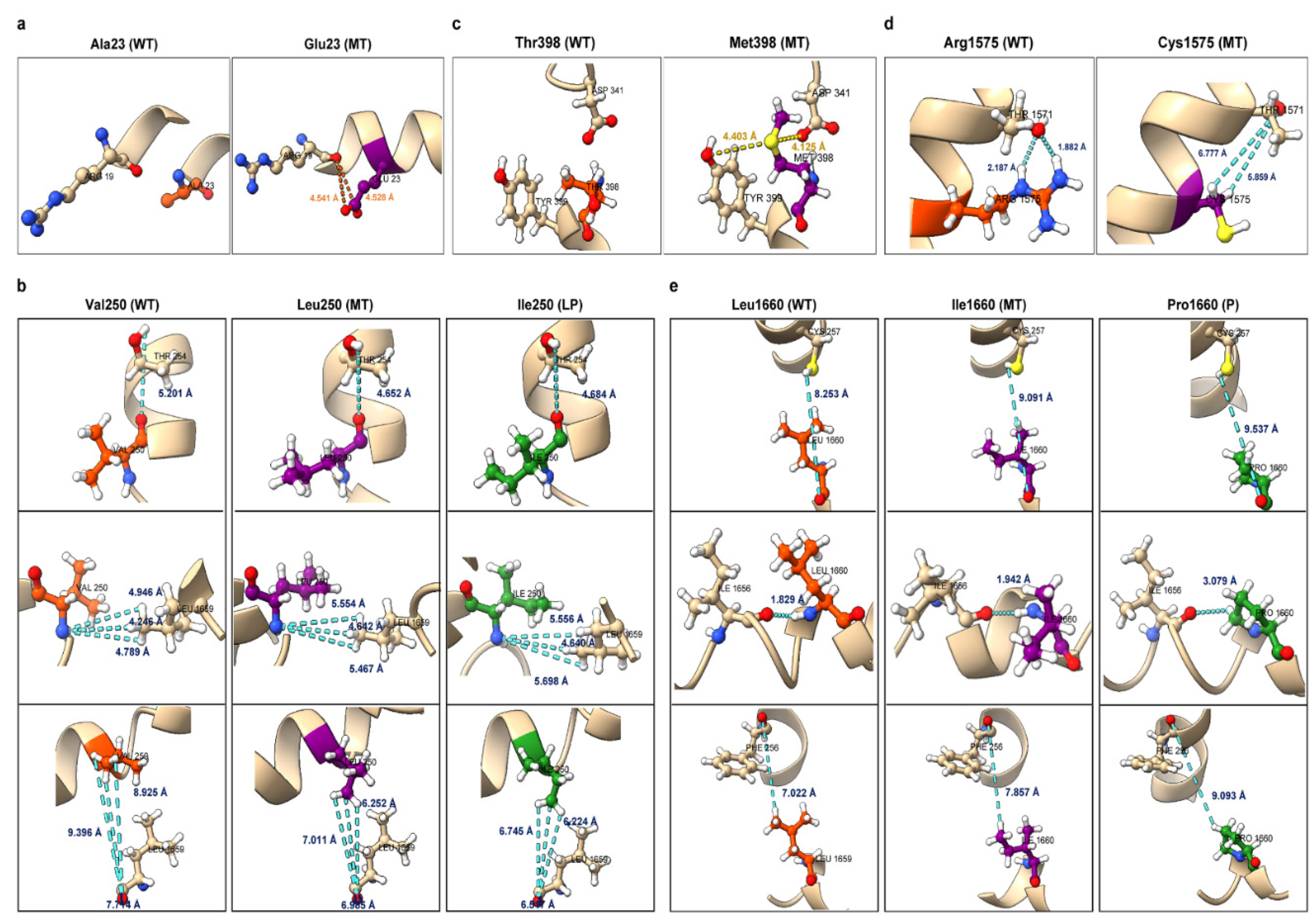 Preprints 146512 g003