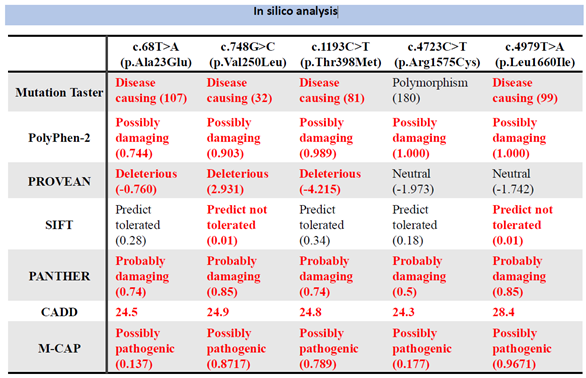 Preprints 146512 i001