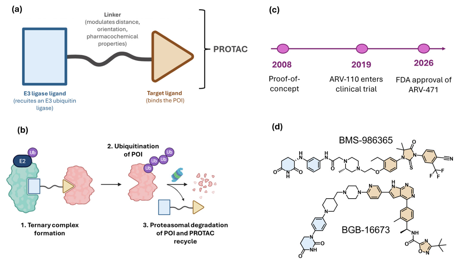 Preprints 221336 g001 Preprints 221336 g001
