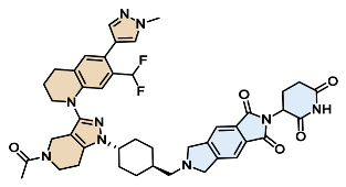 Preprints 221336 i023 Preprints 221336 i023
