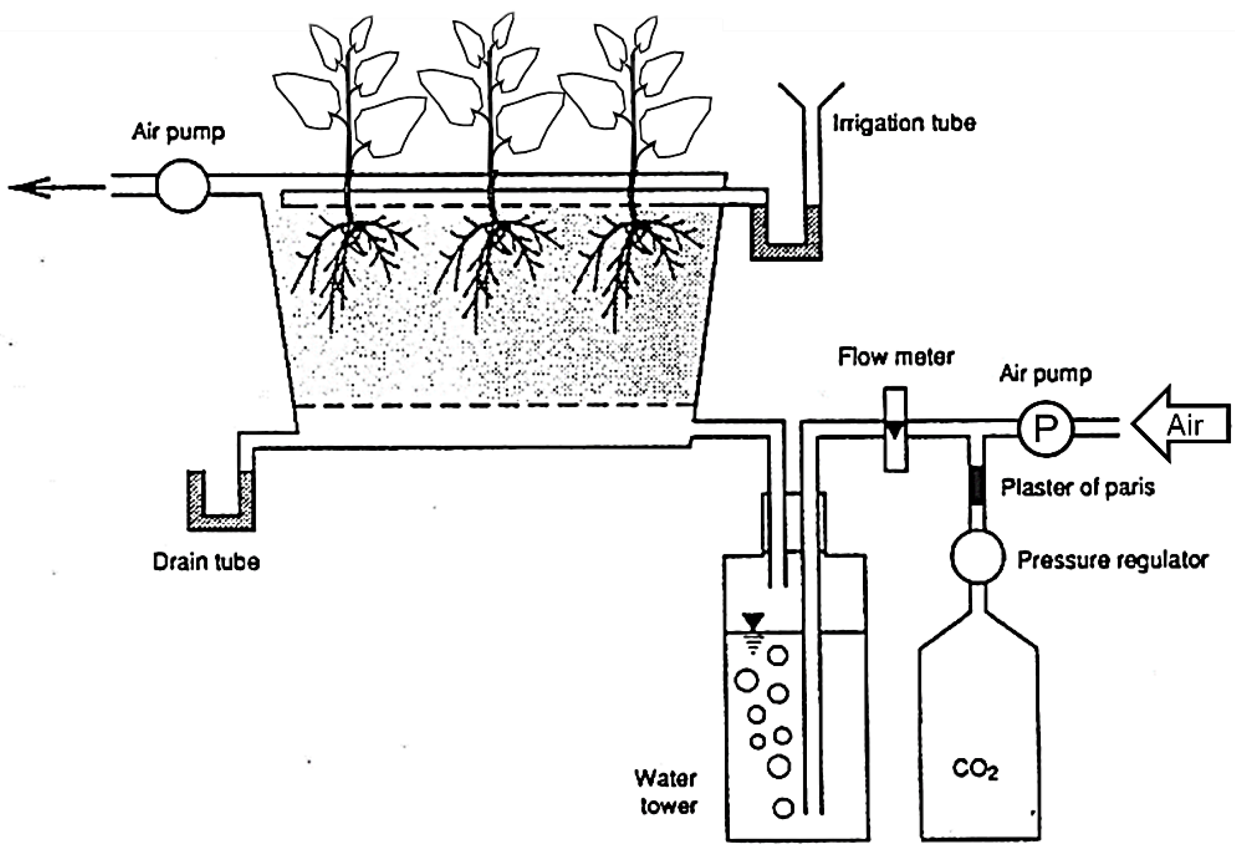 Preprints 185136 g001