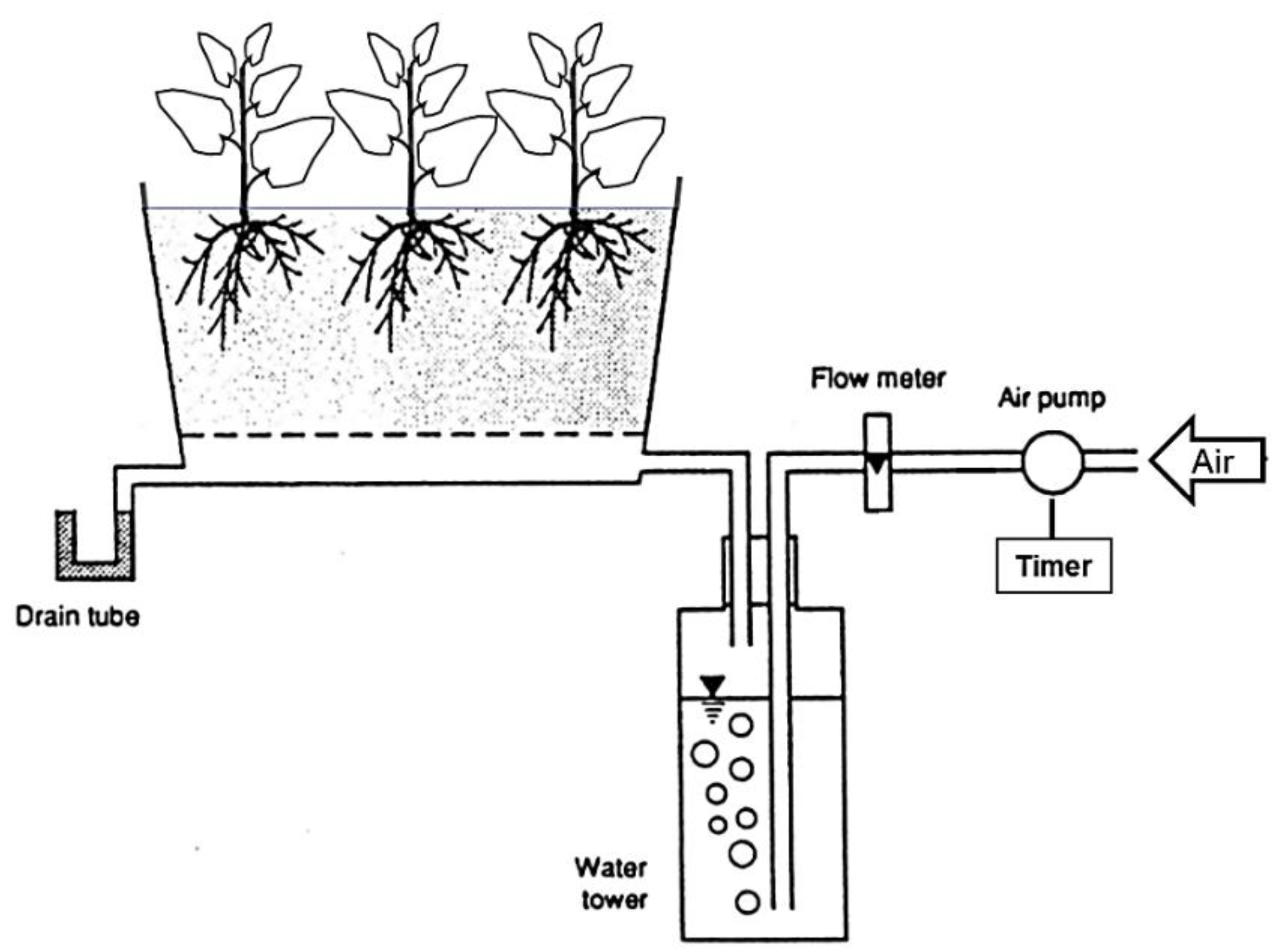 Preprints 185136 g003