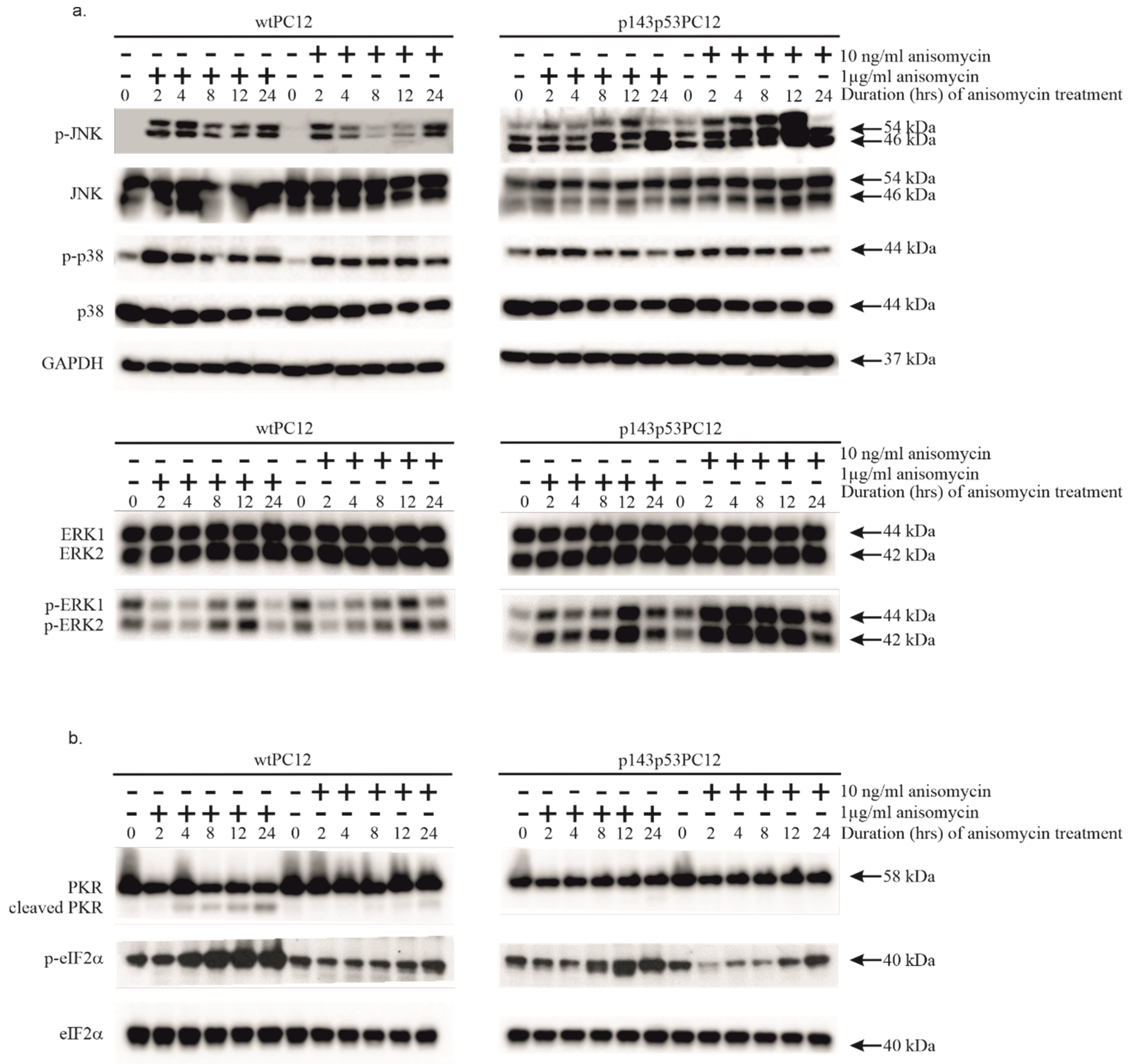 Preprints 180318 g001