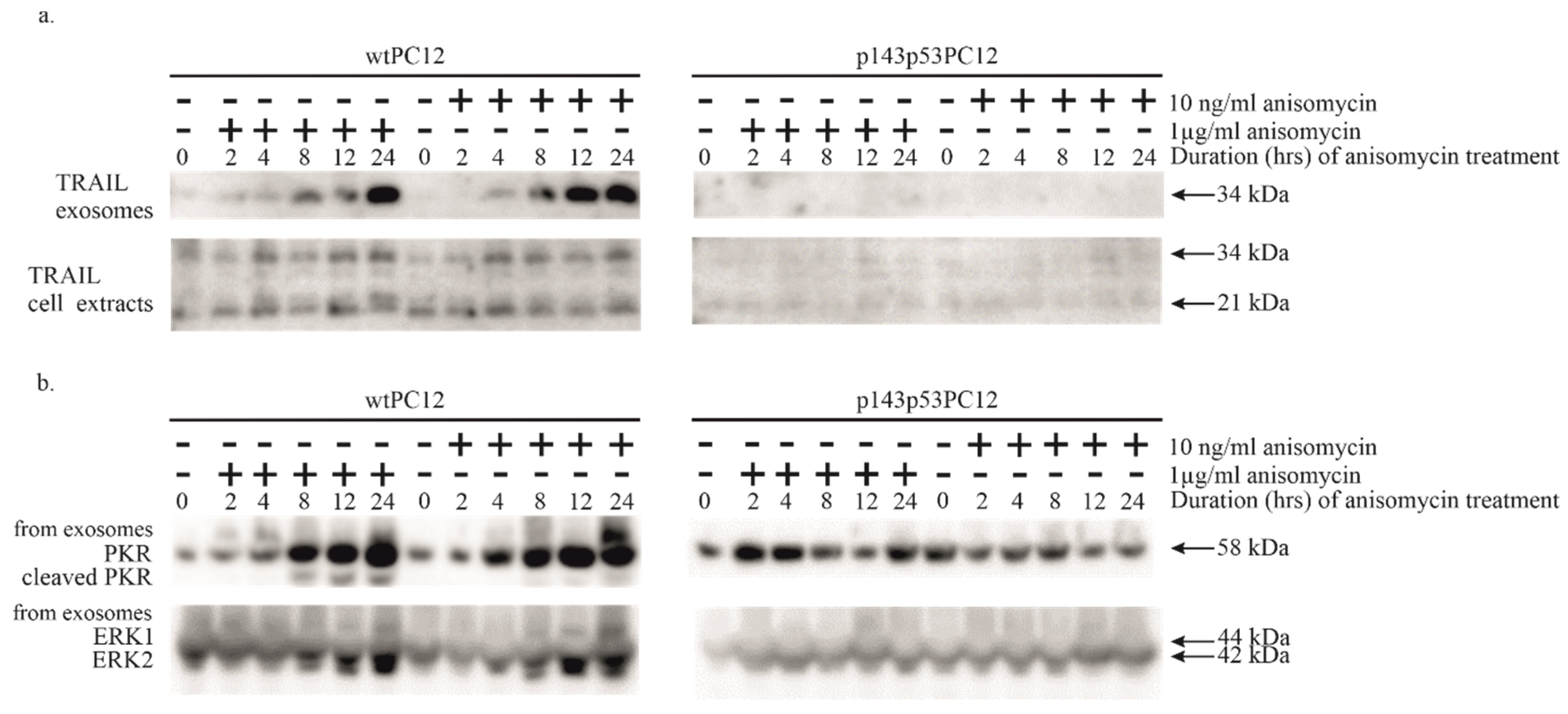 Preprints 180318 g003