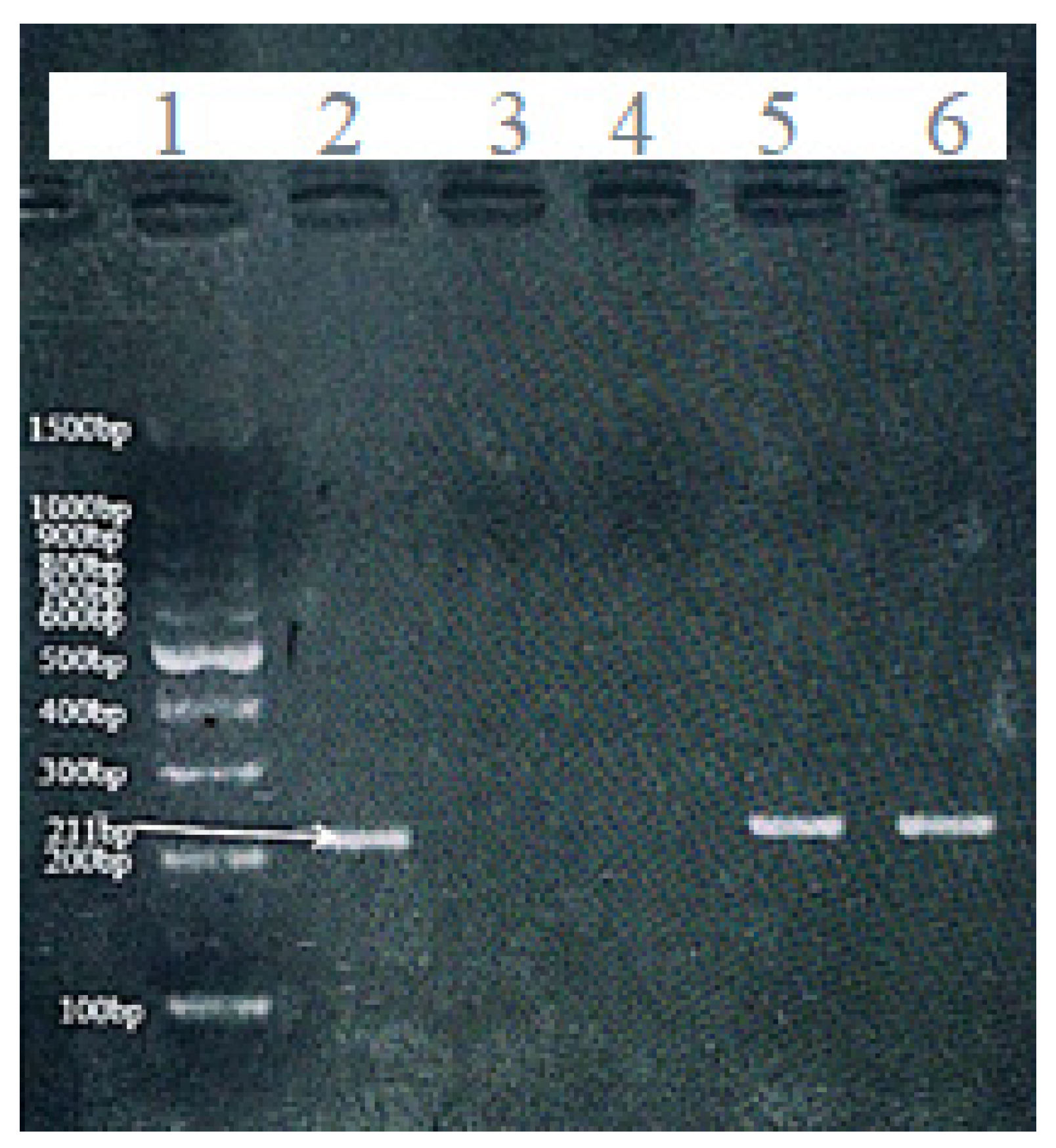 Preprints 199874 g002