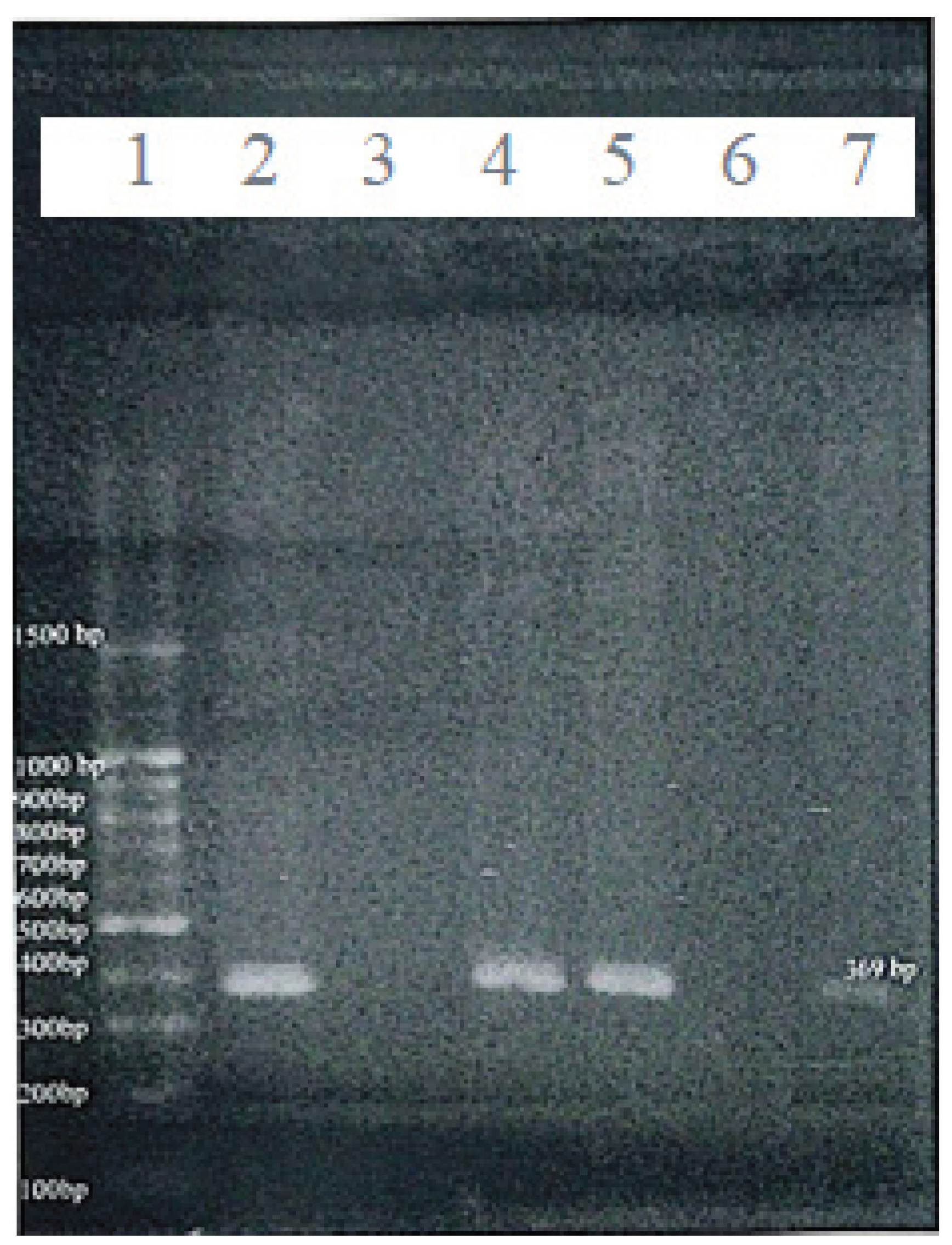 Preprints 199874 g003