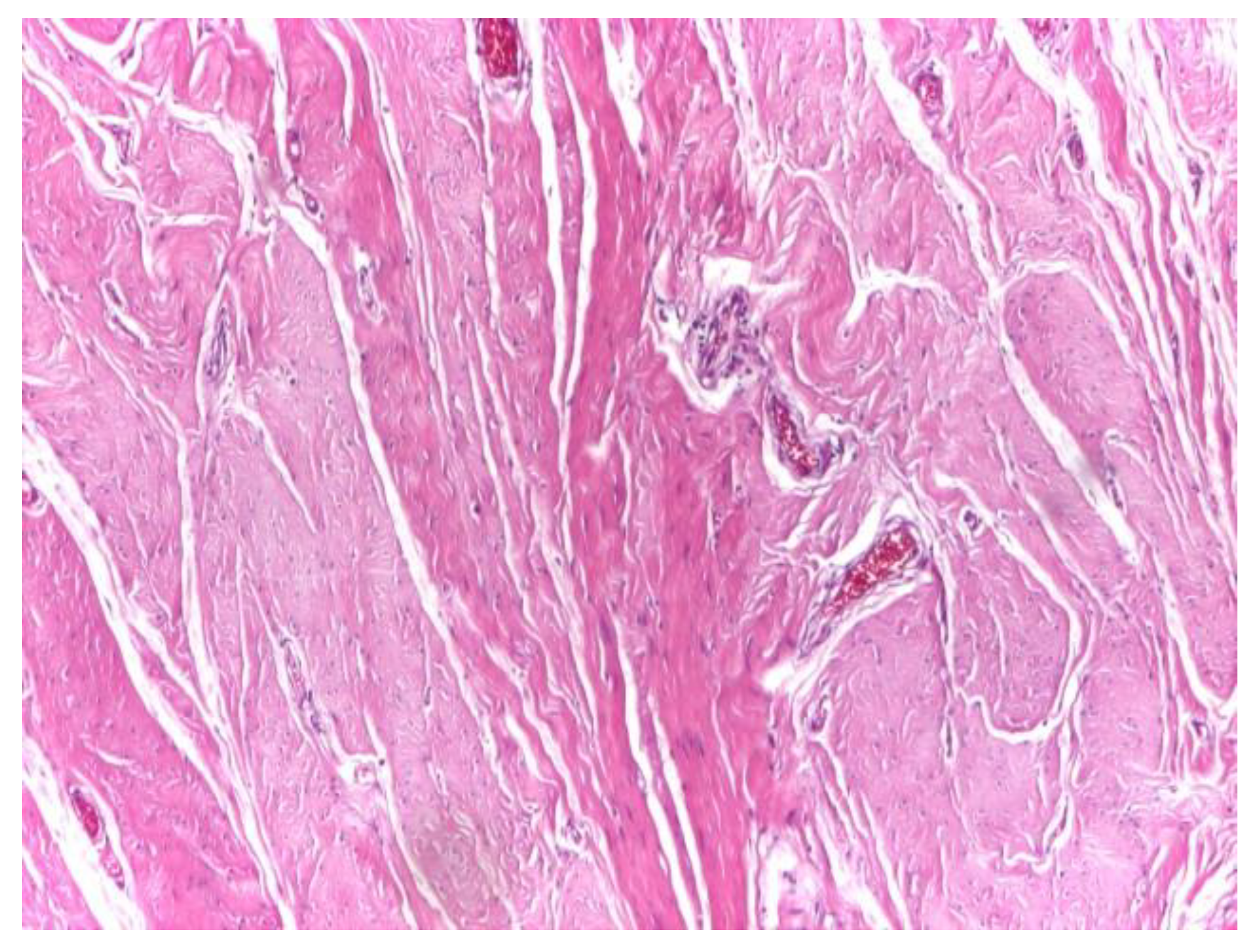 Preprints 191007 g001