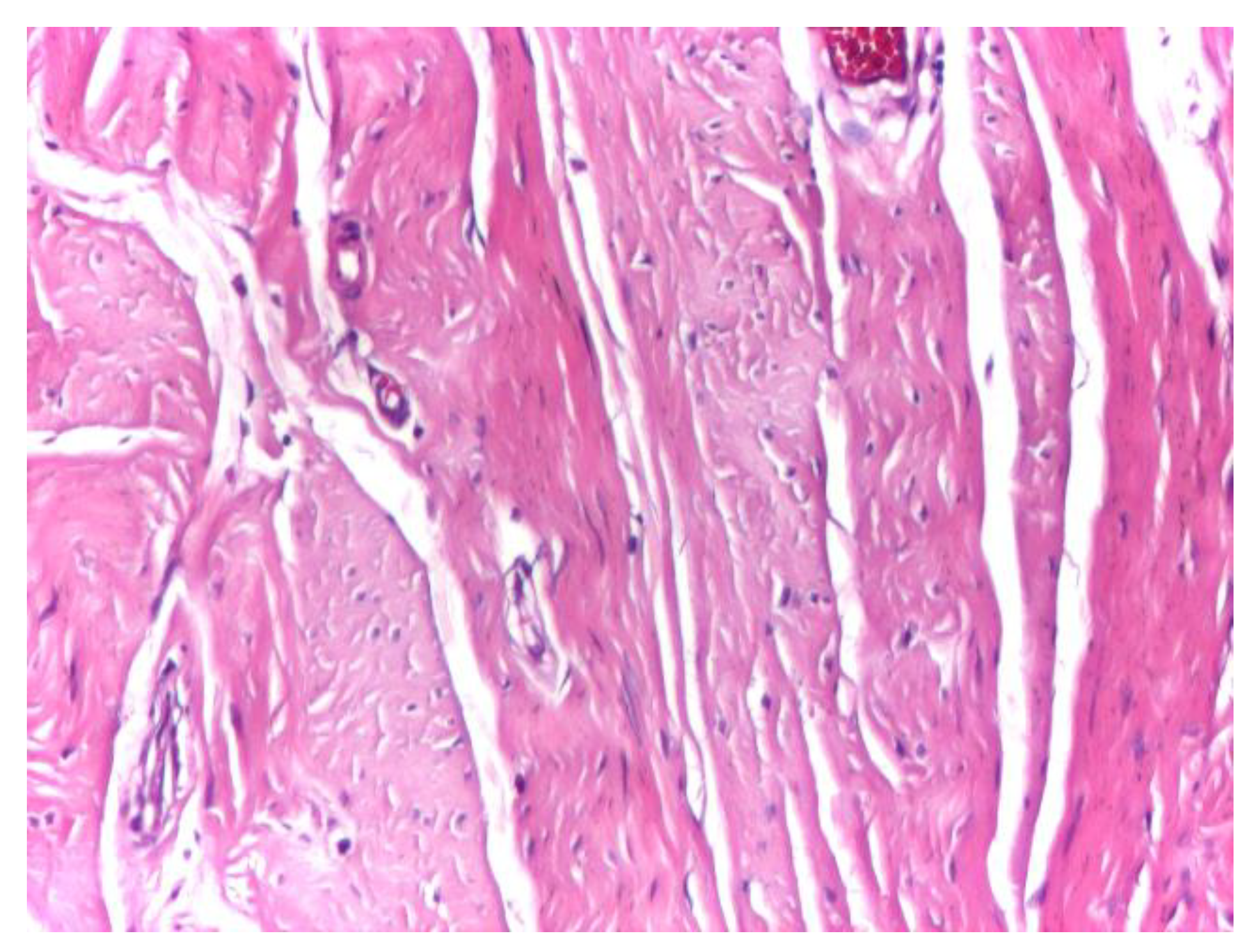 Preprints 191007 g002