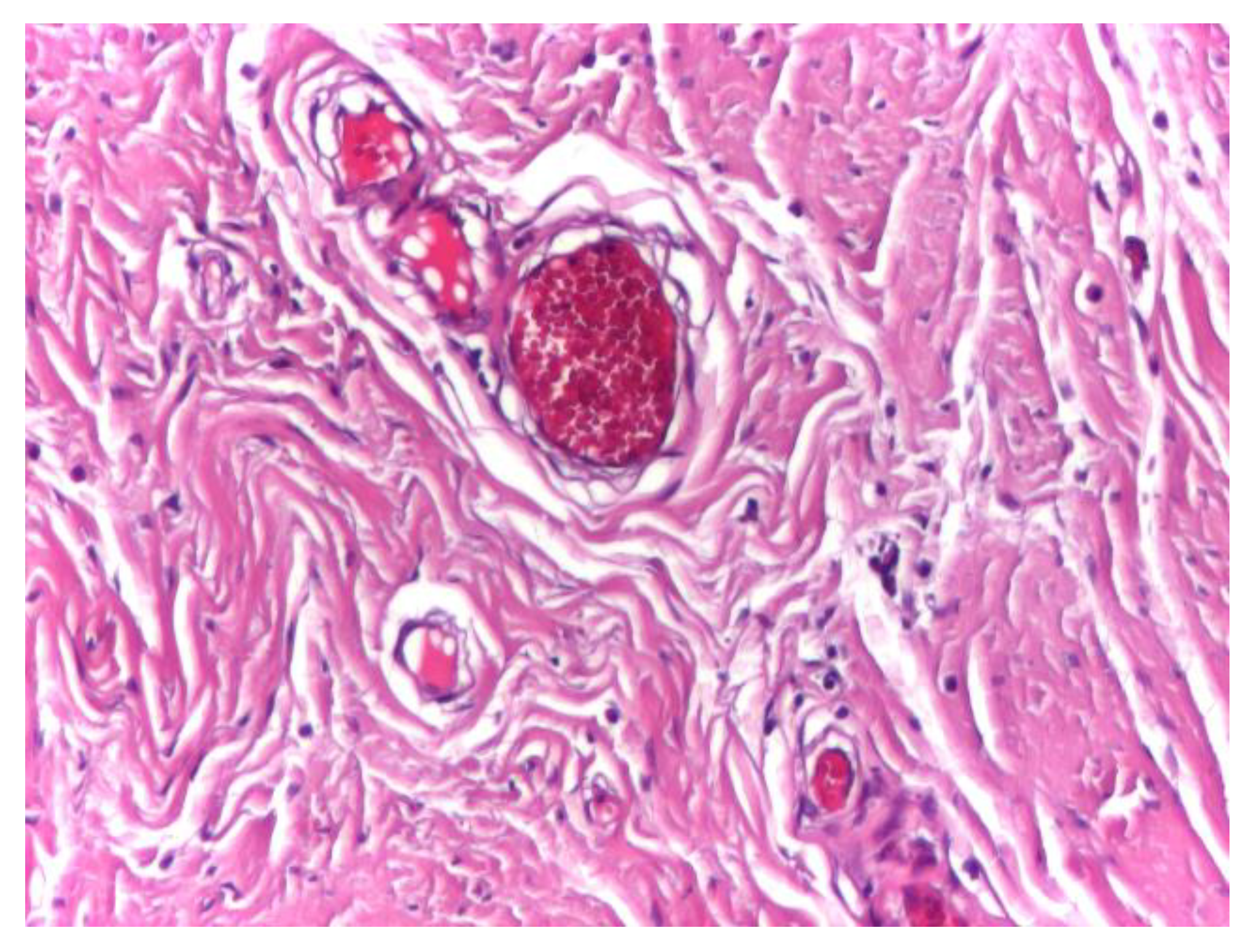 Preprints 191007 g003