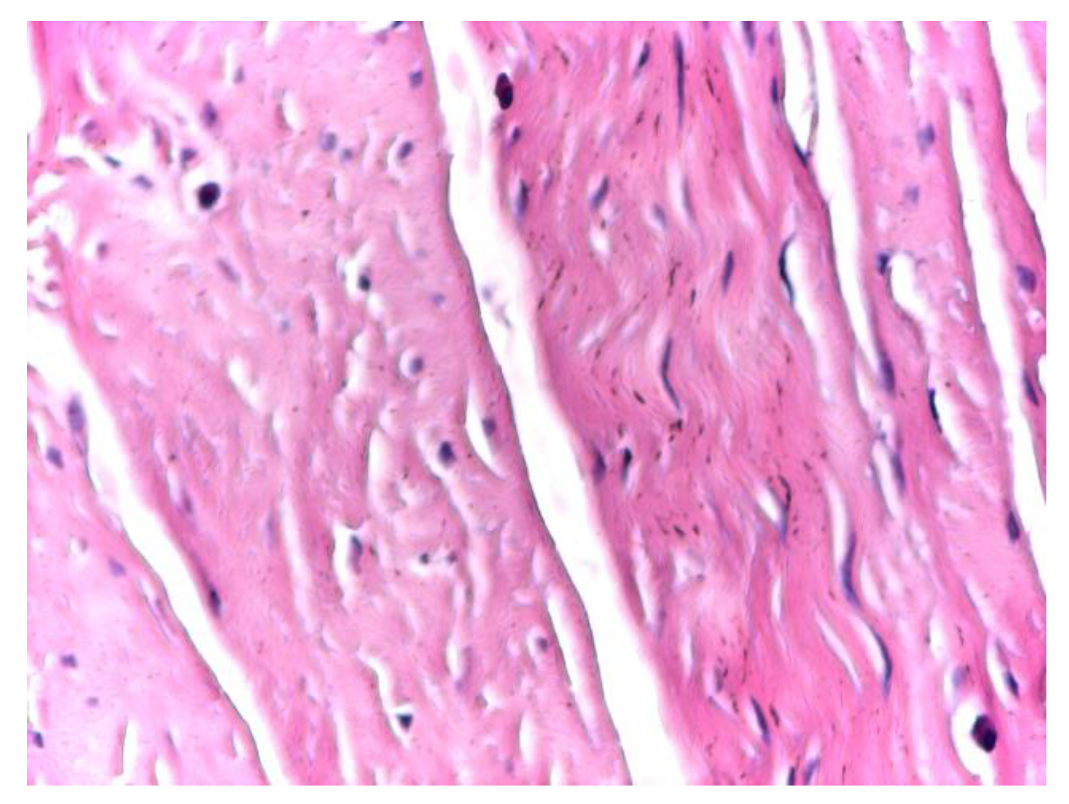 Preprints 191007 g004