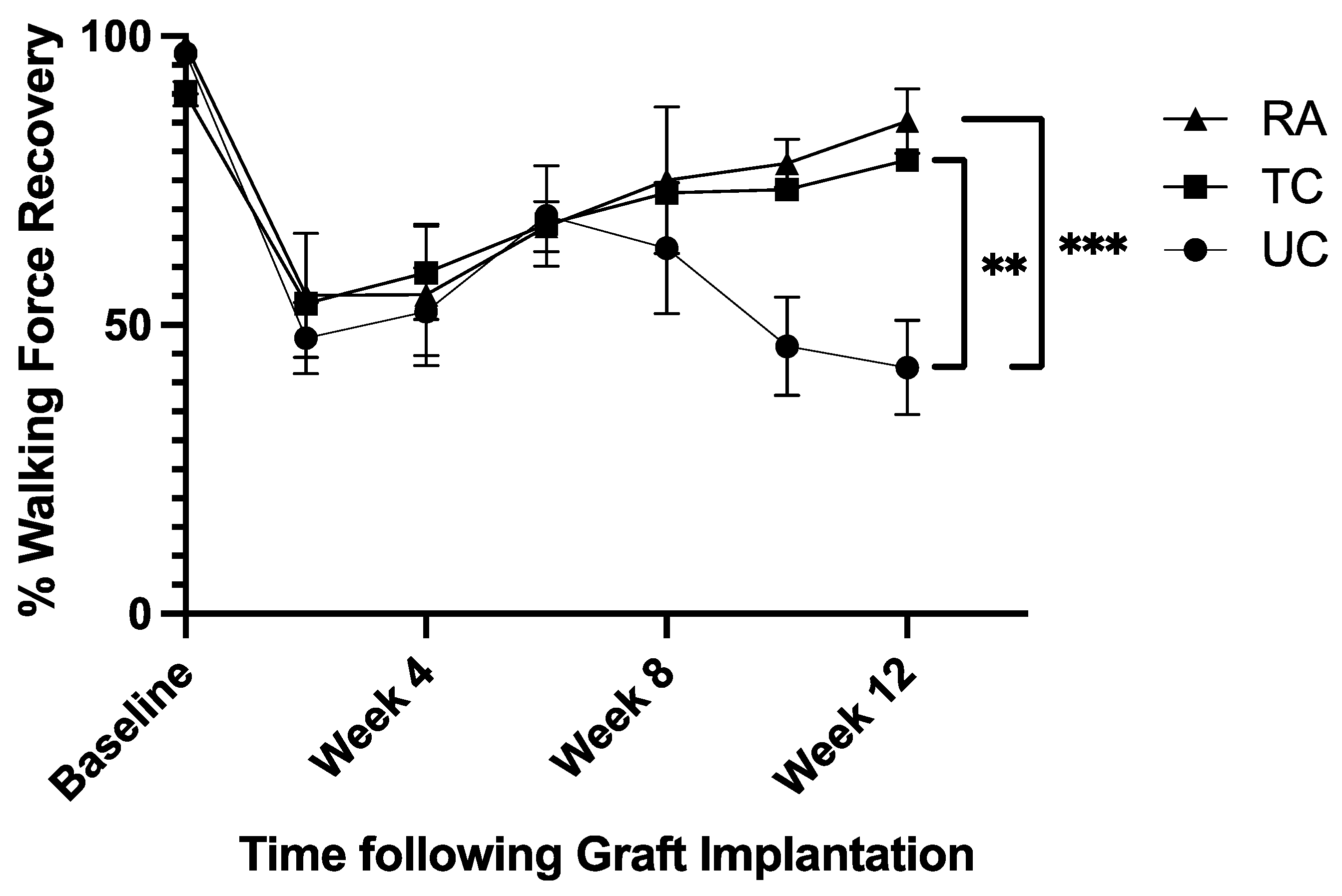 Preprints 148979 g001