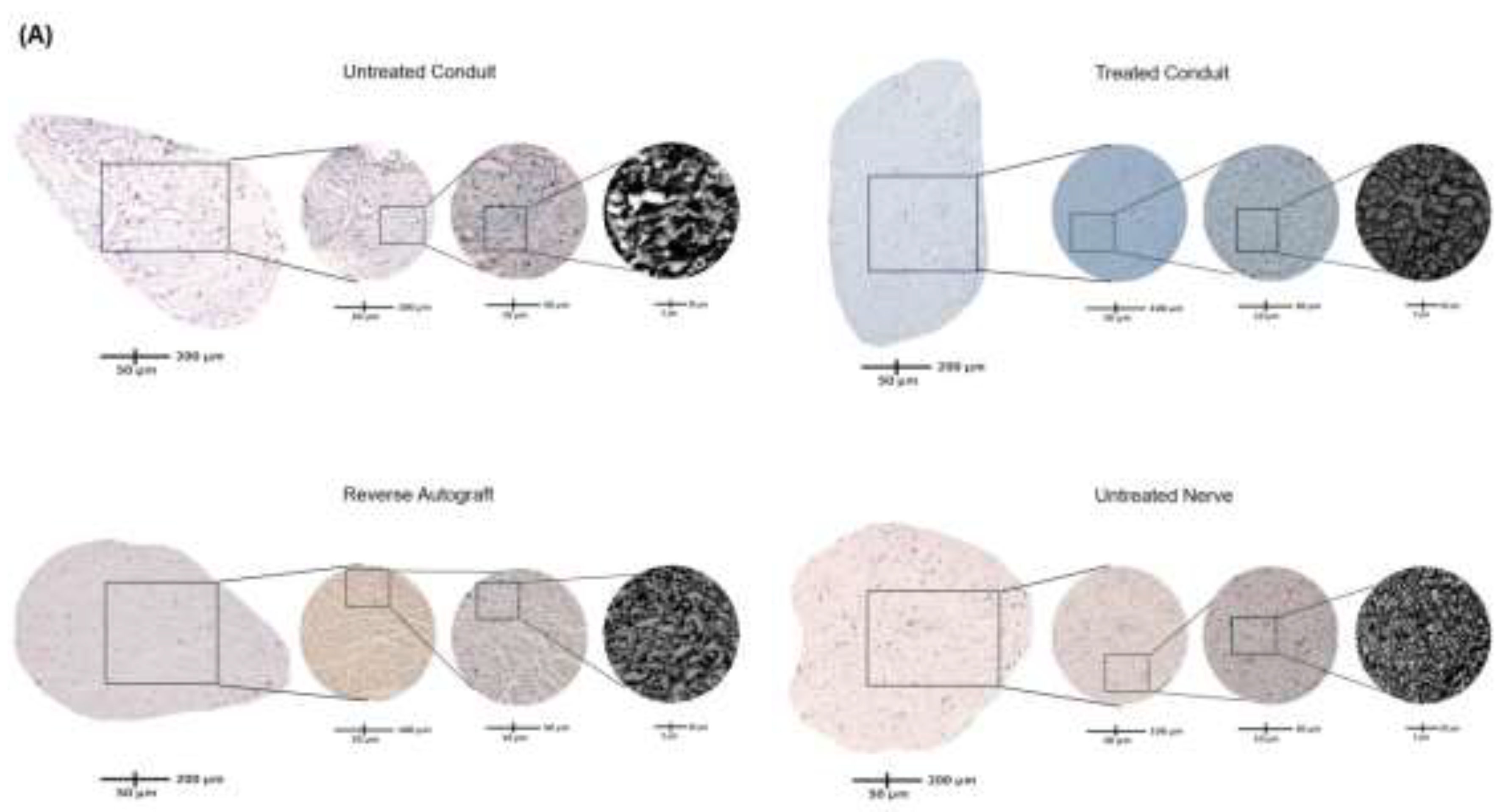 Preprints 148979 g004b