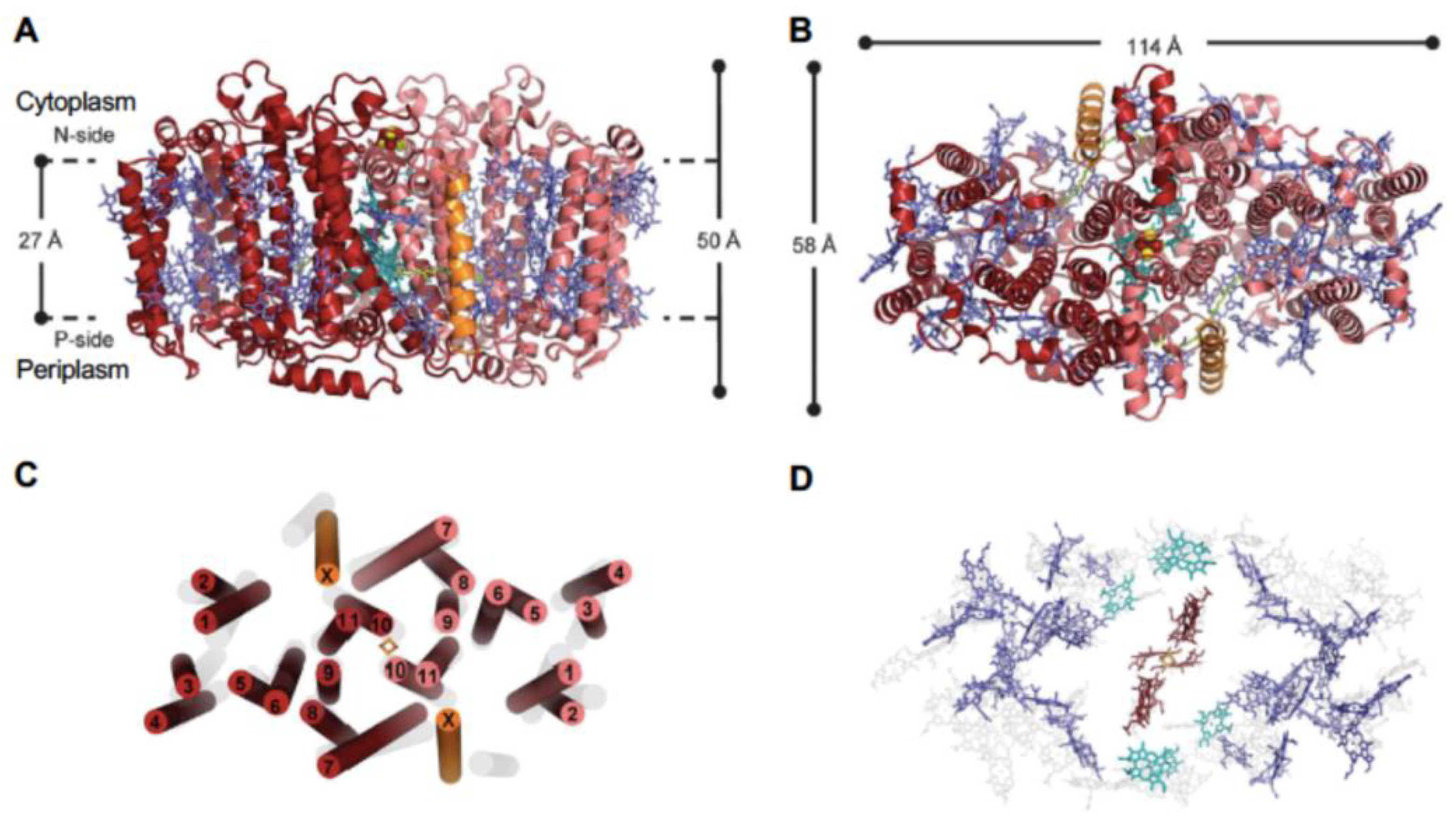 Preprints 93155 g001