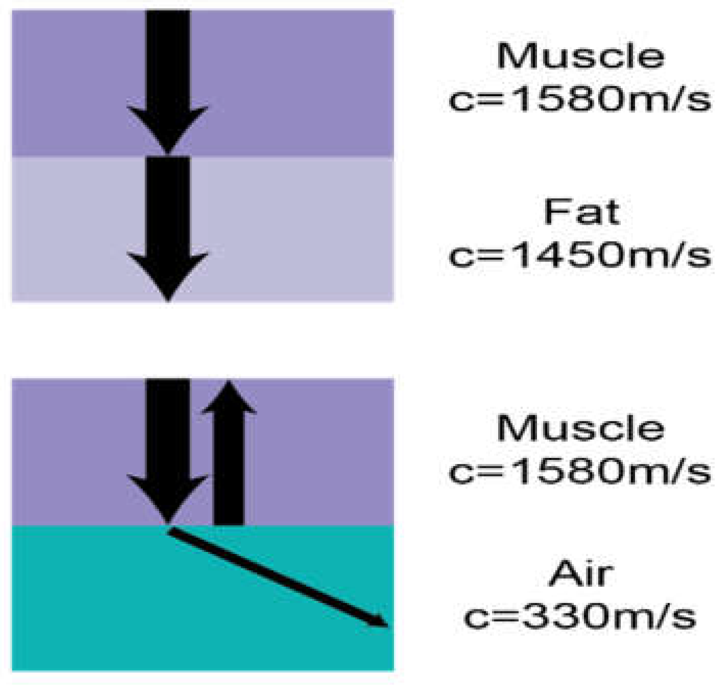 Preprints 155164 g002