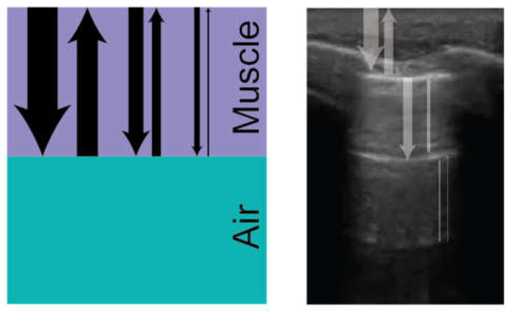 Preprints 155164 g003