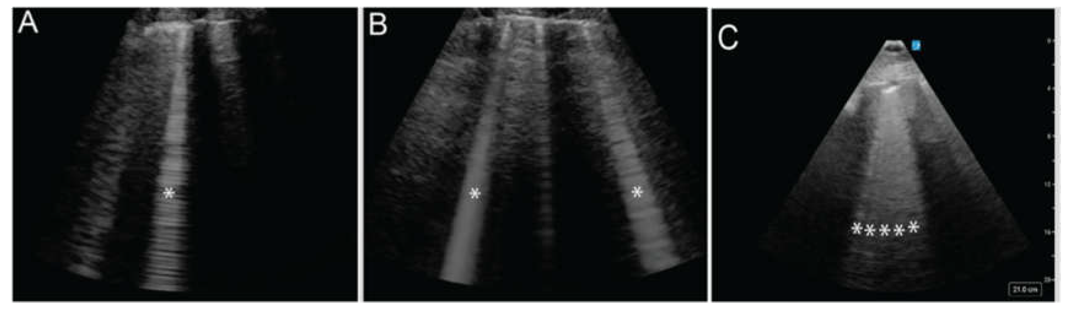 Preprints 155164 g005