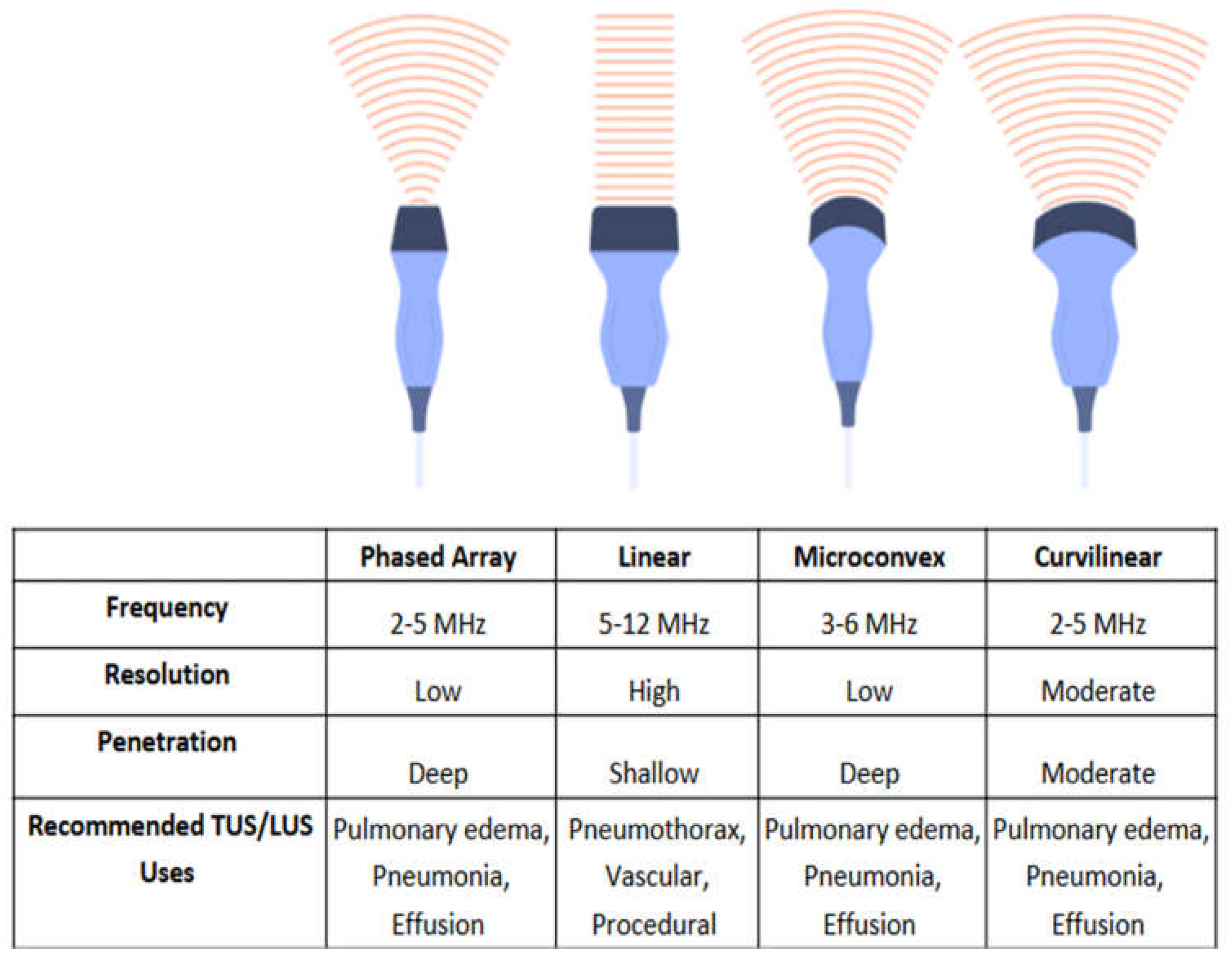 Preprints 155164 g006