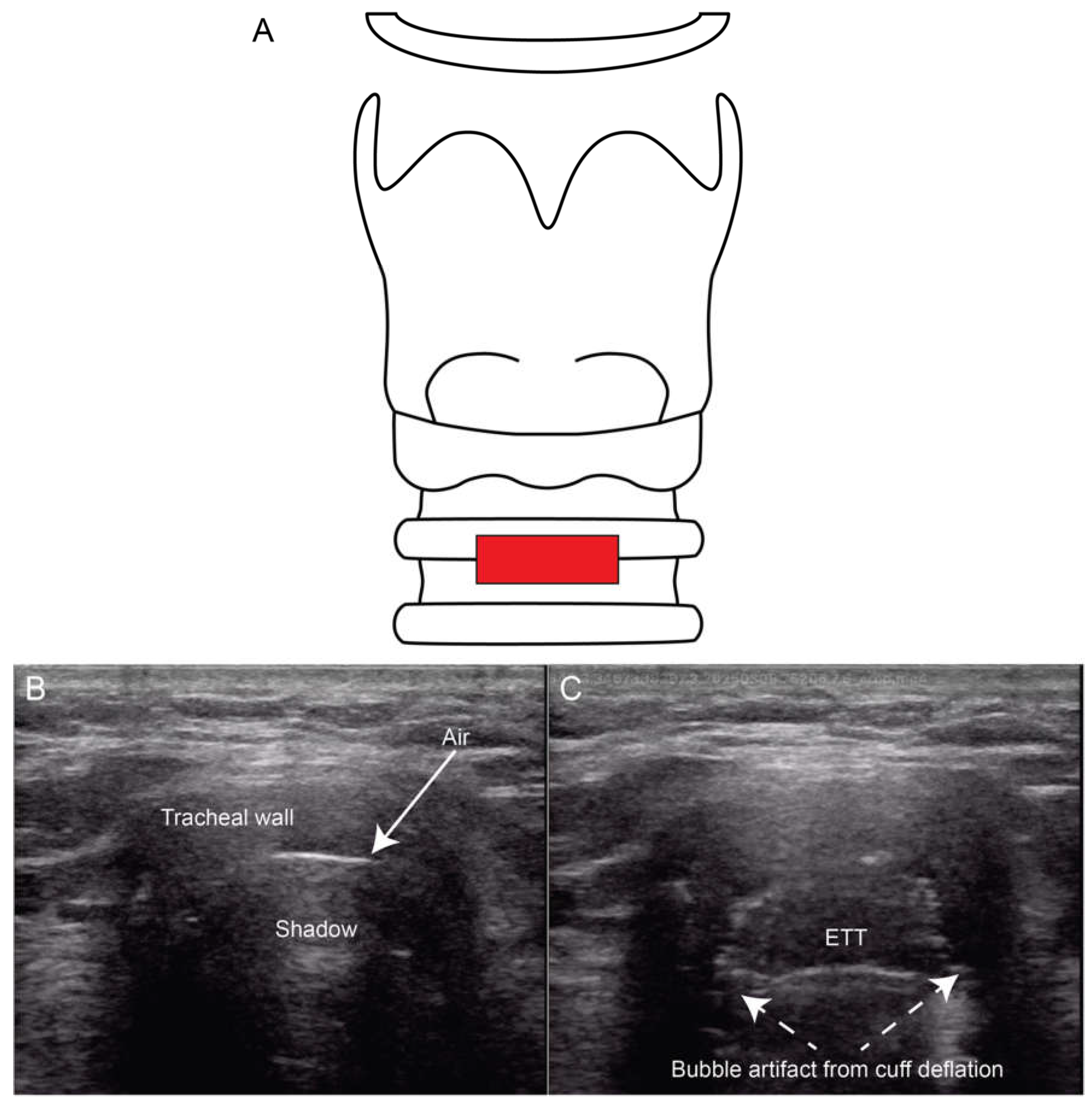 Preprints 155164 g007