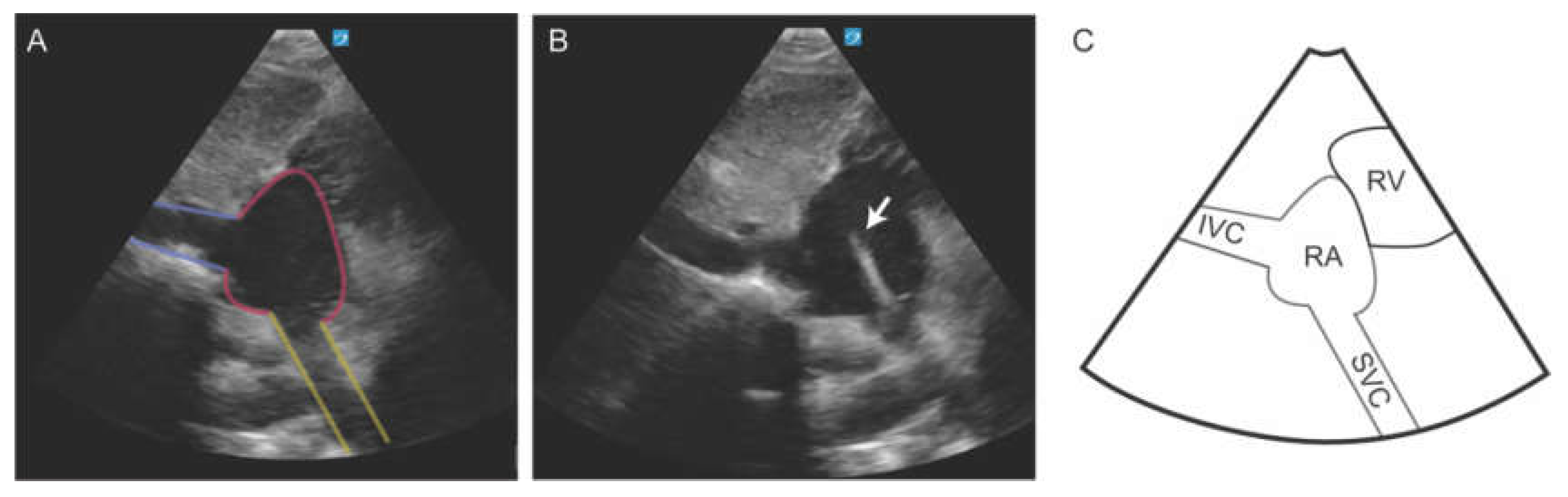 Preprints 155164 g008